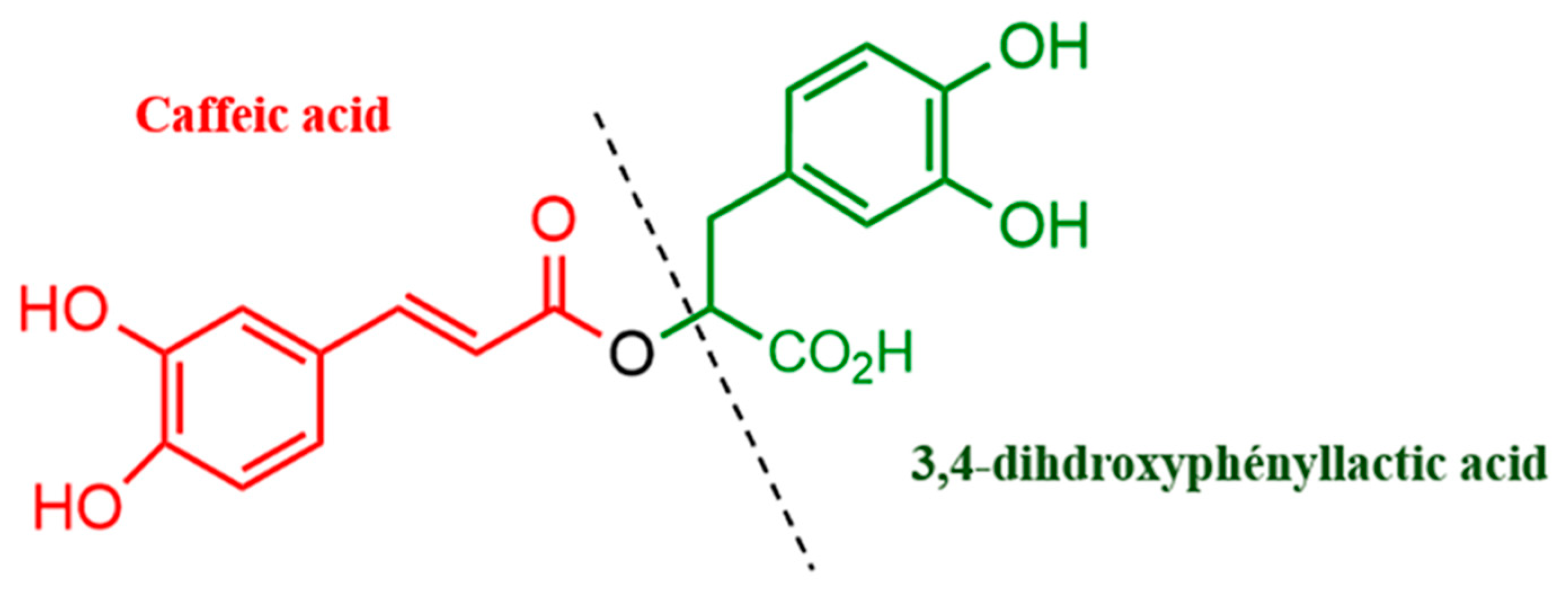 Processes 13 00655 g001