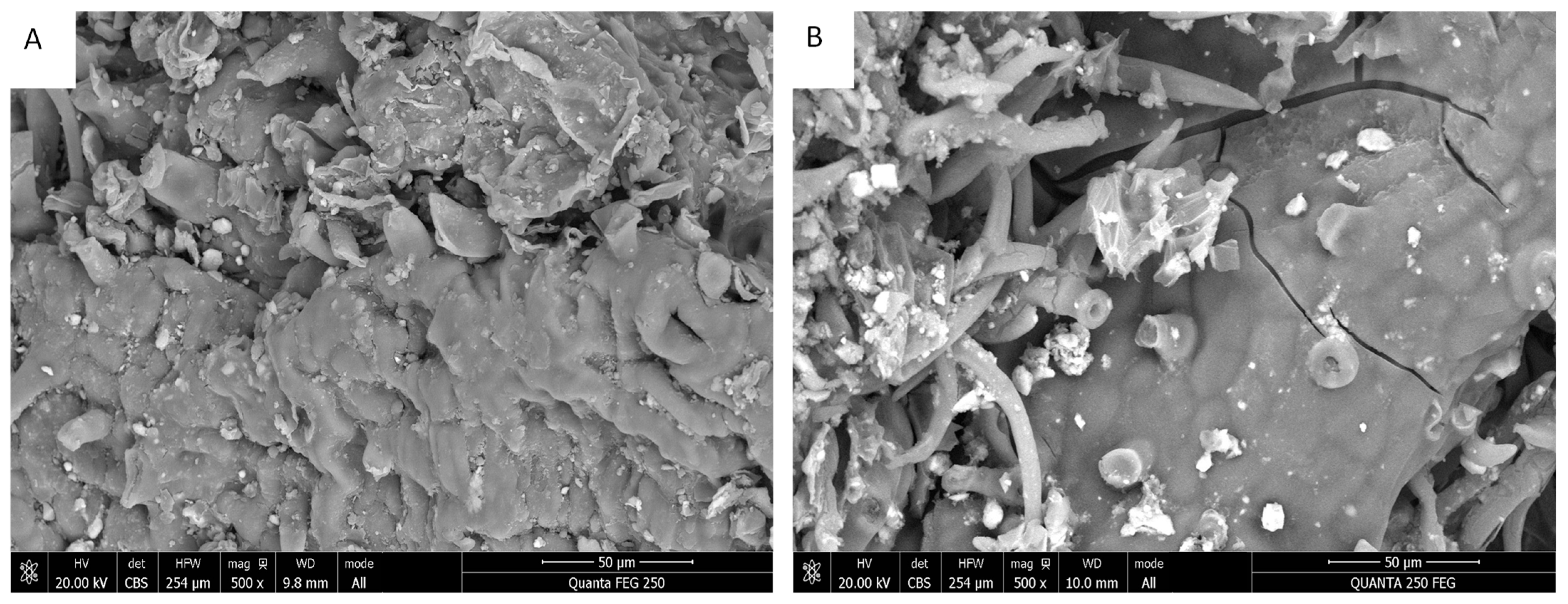 Processes 13 00655 g005
