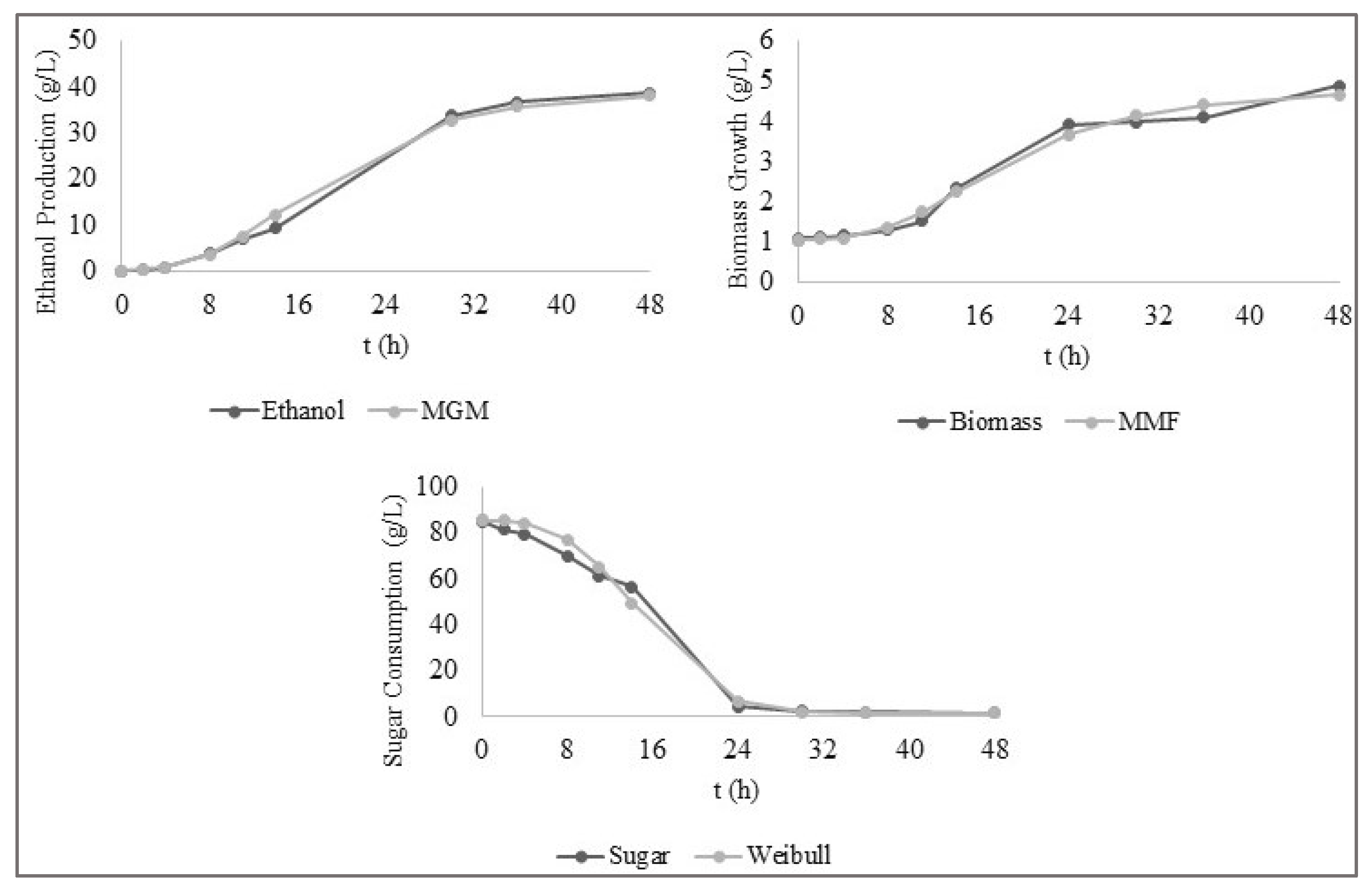 Processes 13 00656 g004