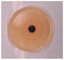 Processes 13 00662 i008