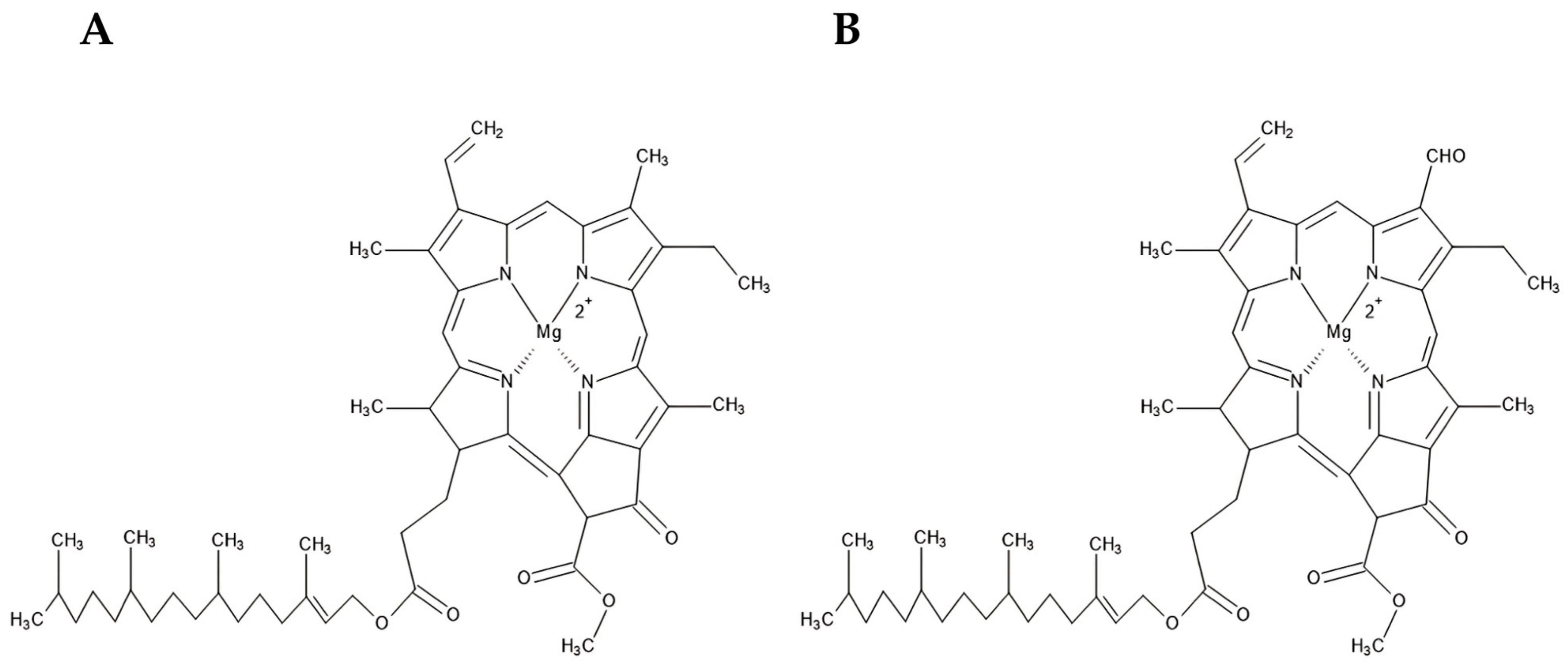 Processes 13 00663 g002 Processes 13 00663 g002