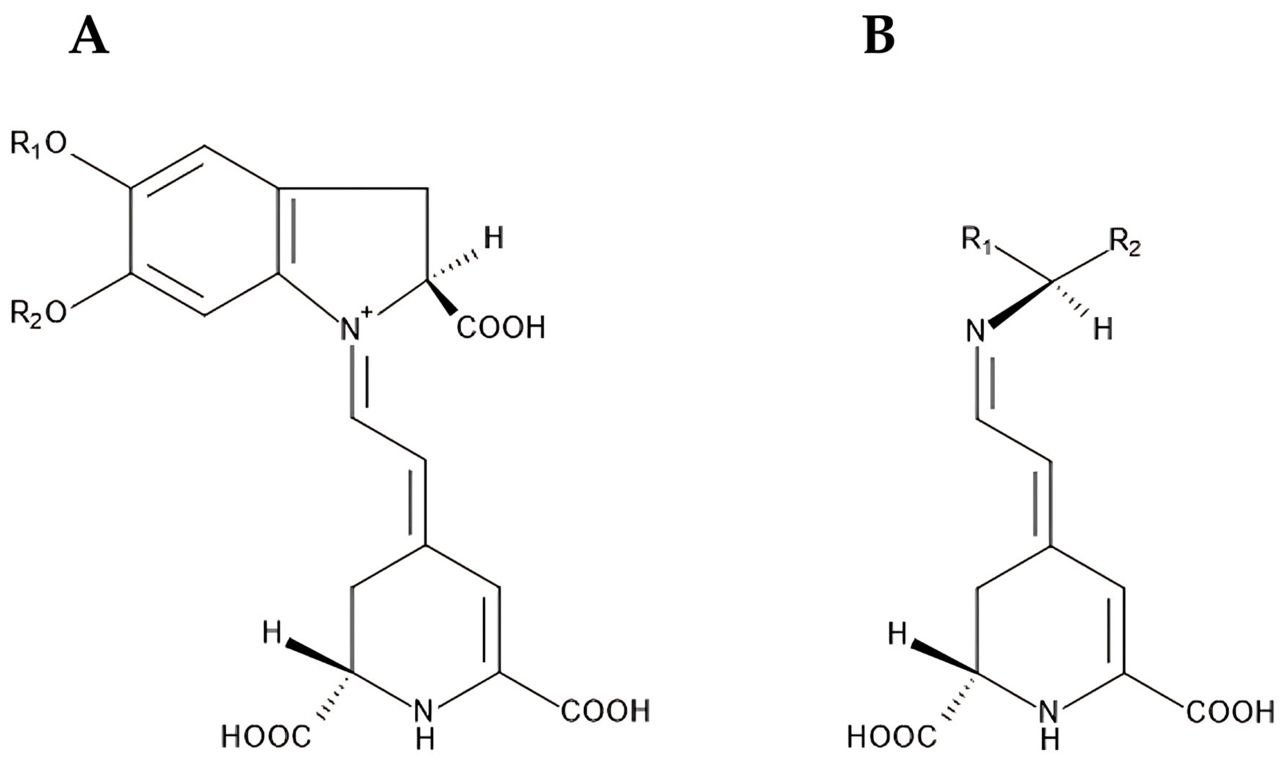 Processes 13 00663 g004 Processes 13 00663 g004