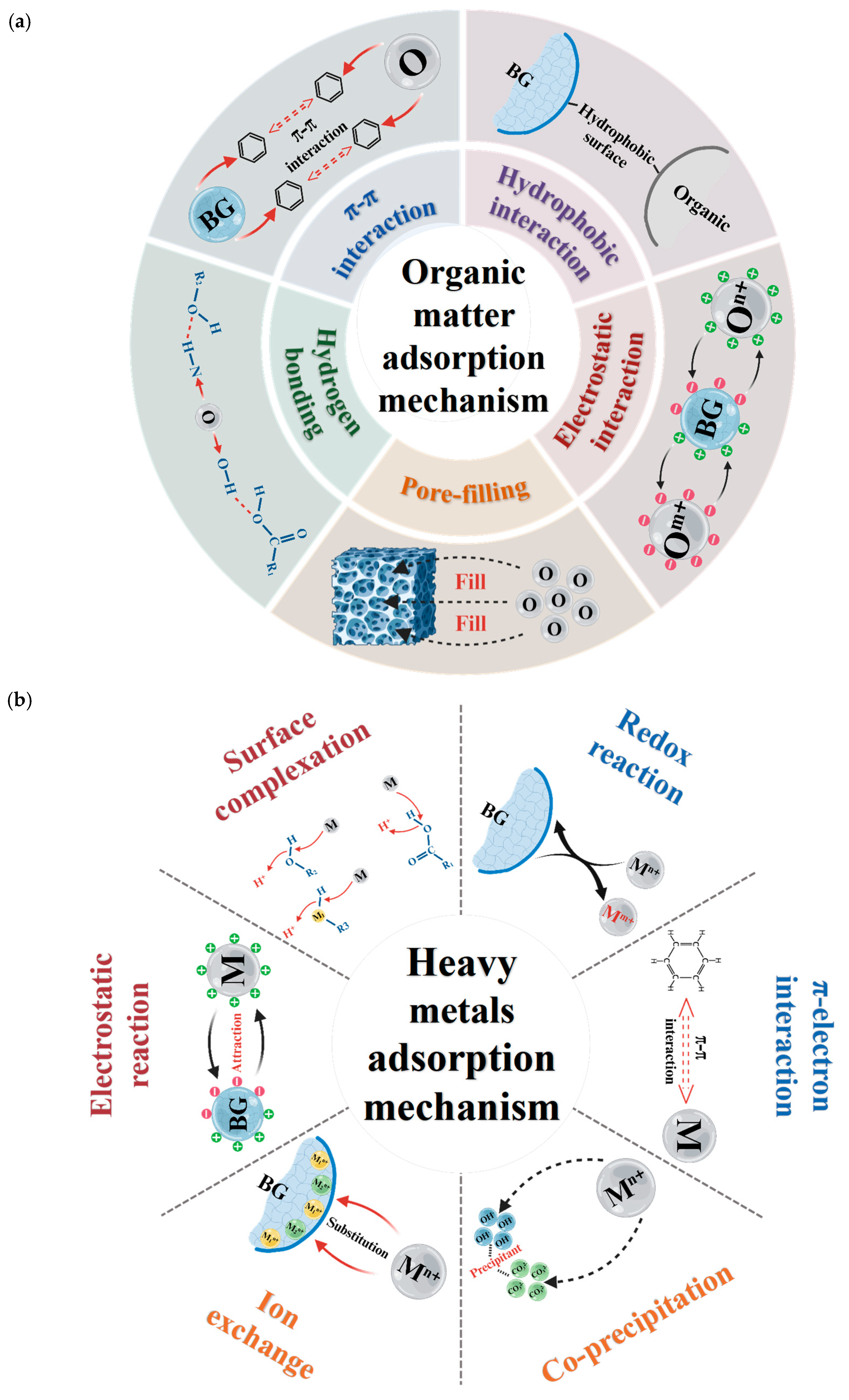 Processes 13 00664 g003a