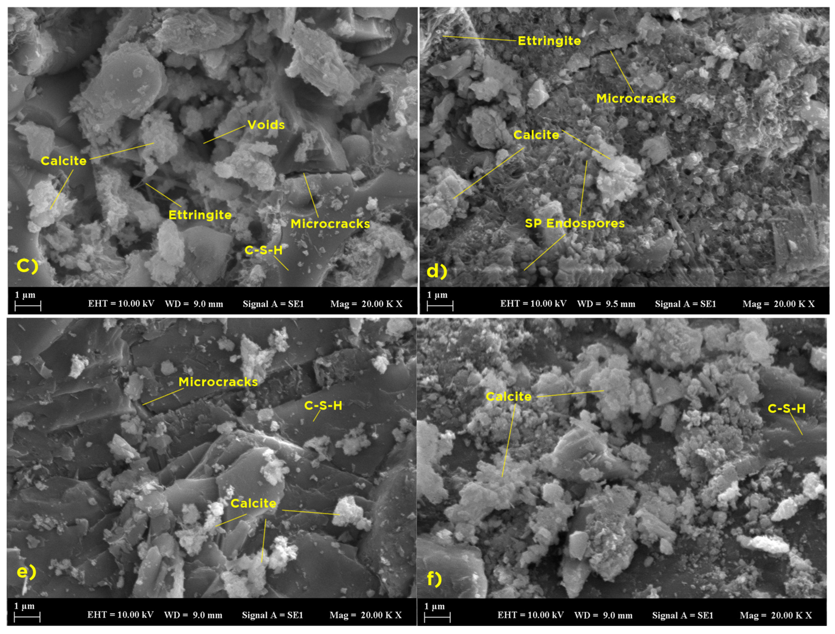 Processes 13 00673 g018b