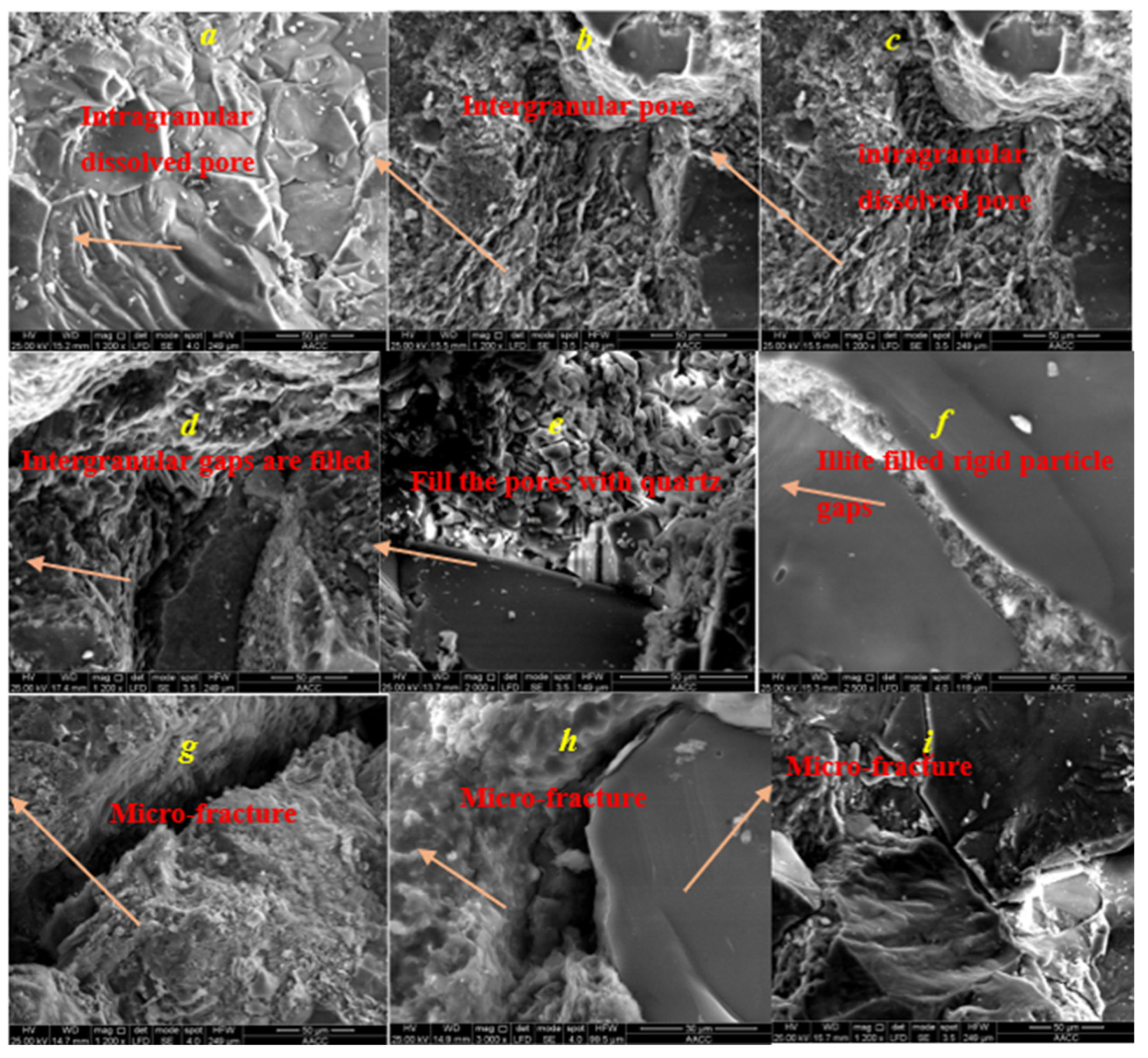 Processes 13 00679 g001