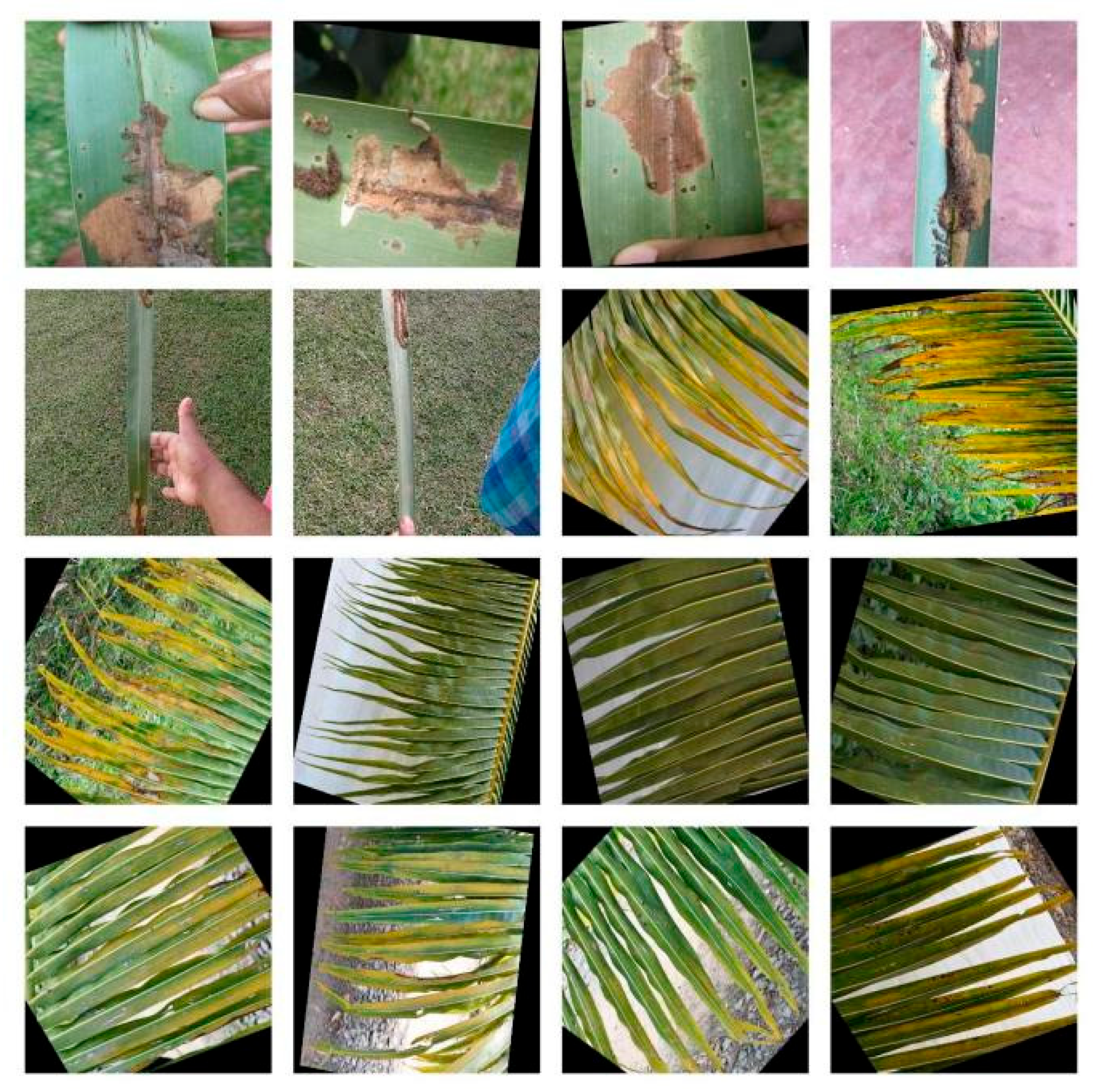 Processes 13 00689 g002