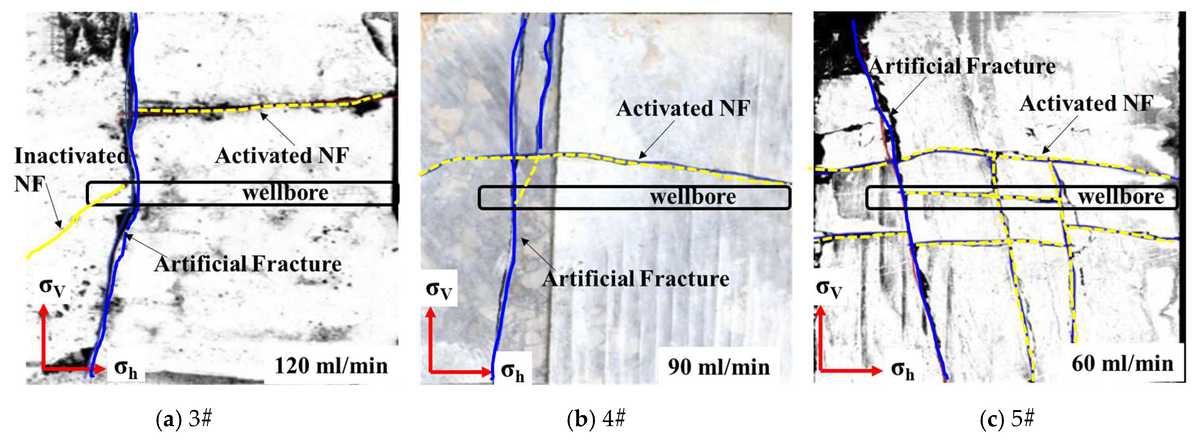 Processes 13 00695 g005