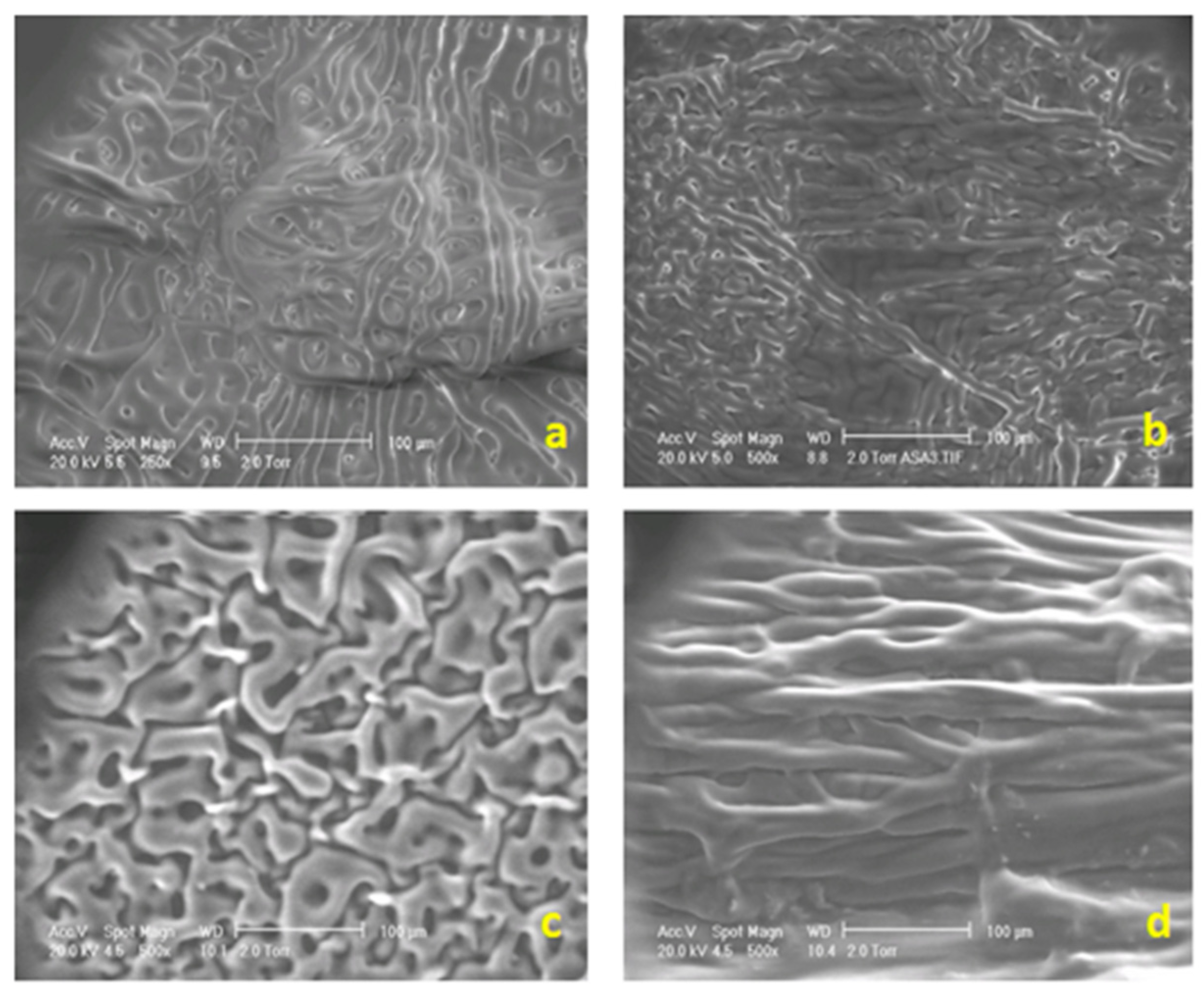 Processes 13 00708 g004