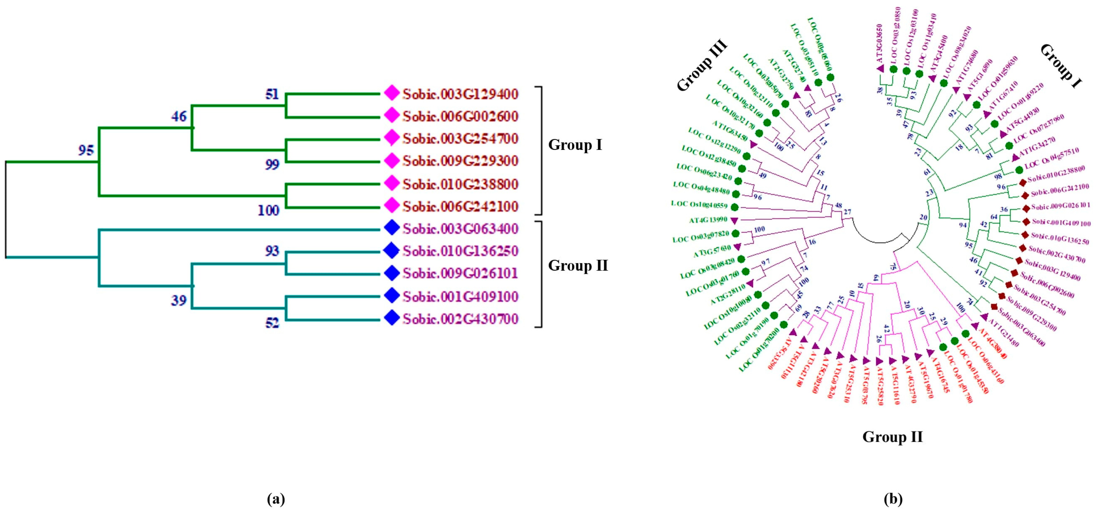 Processes 13 00709 g001