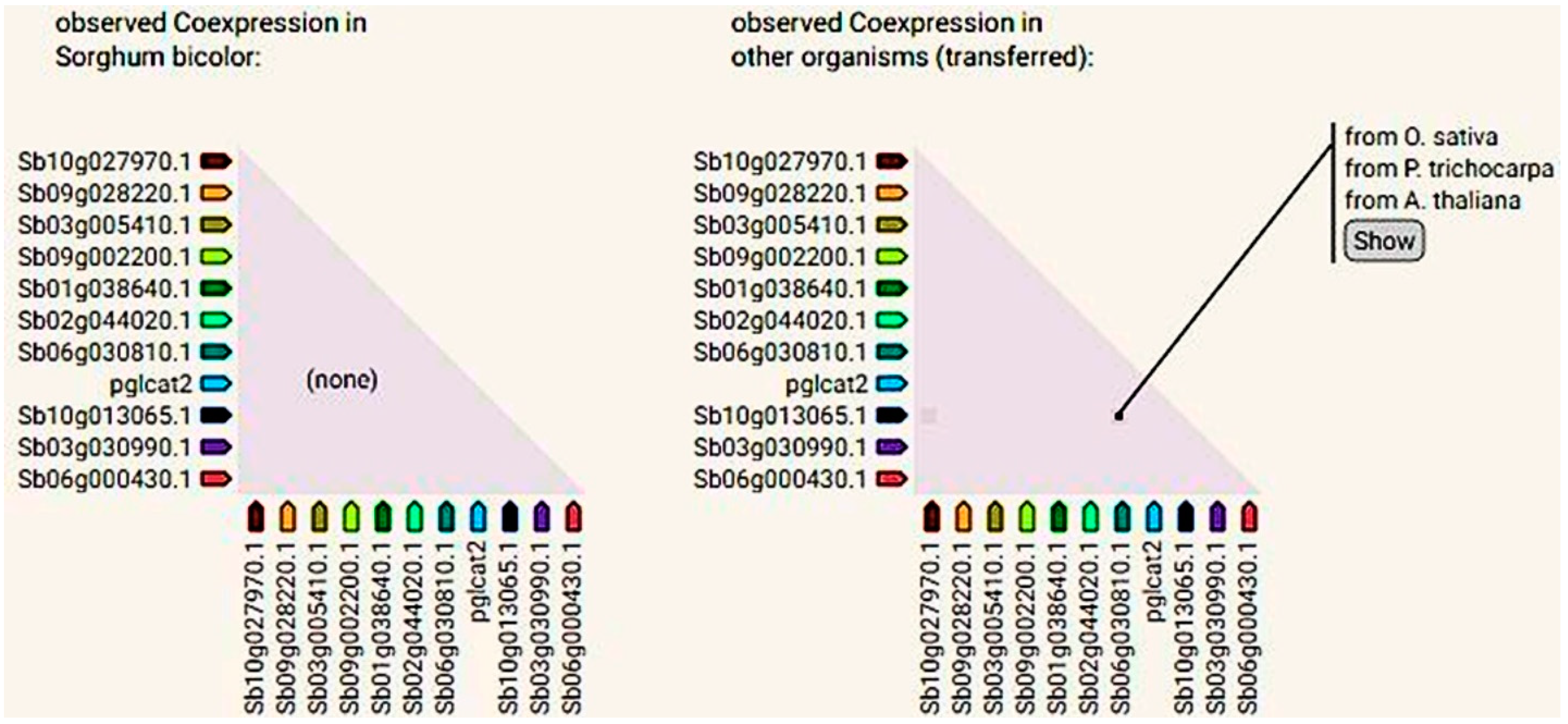 Processes 13 00709 g004