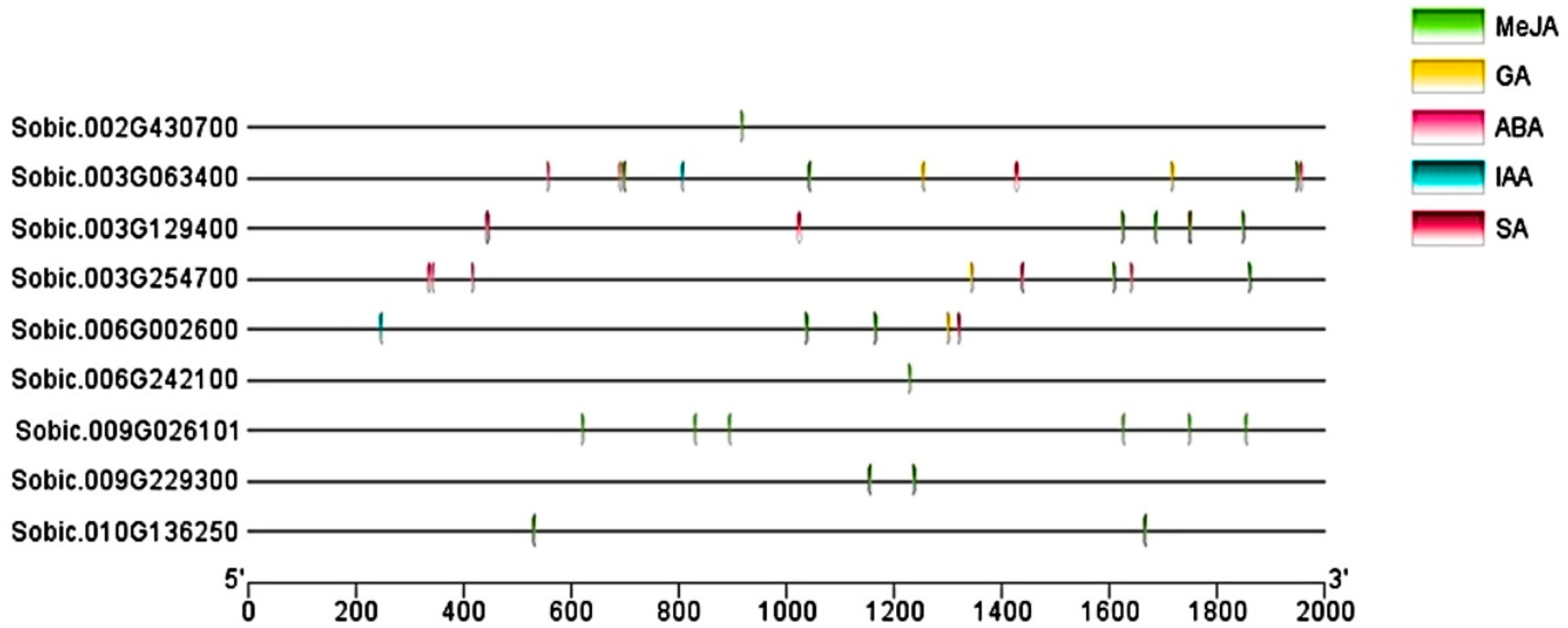 Processes 13 00709 g010