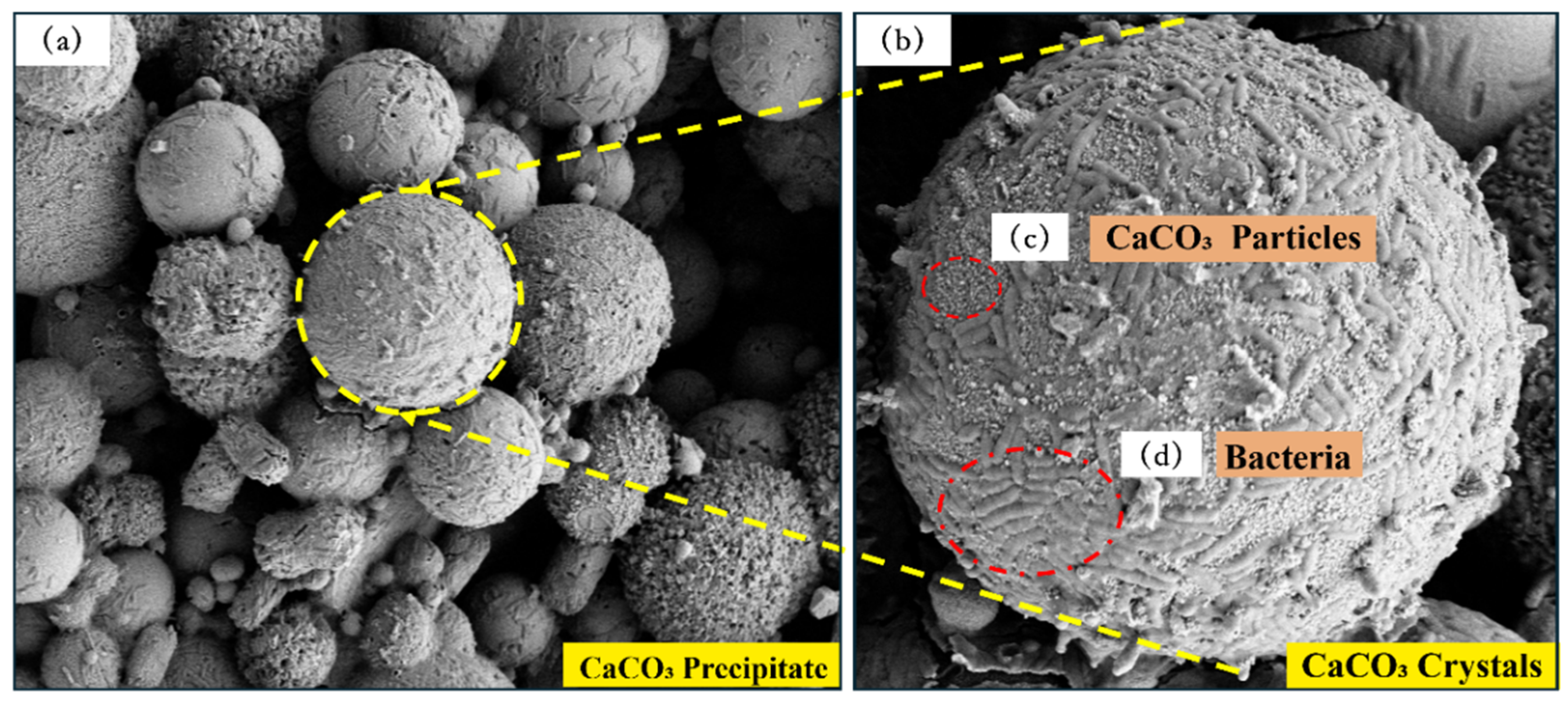 Processes 13 00711 g011