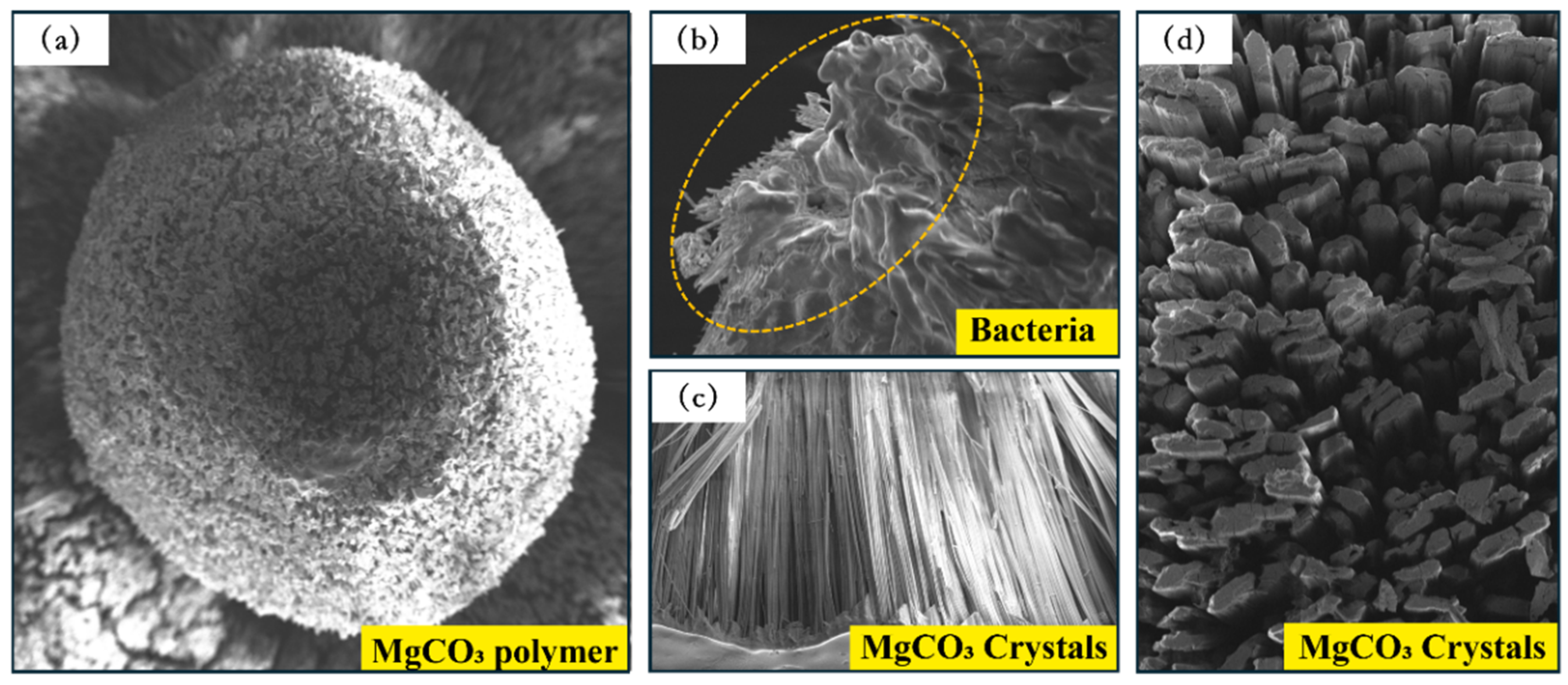 Processes 13 00711 g012