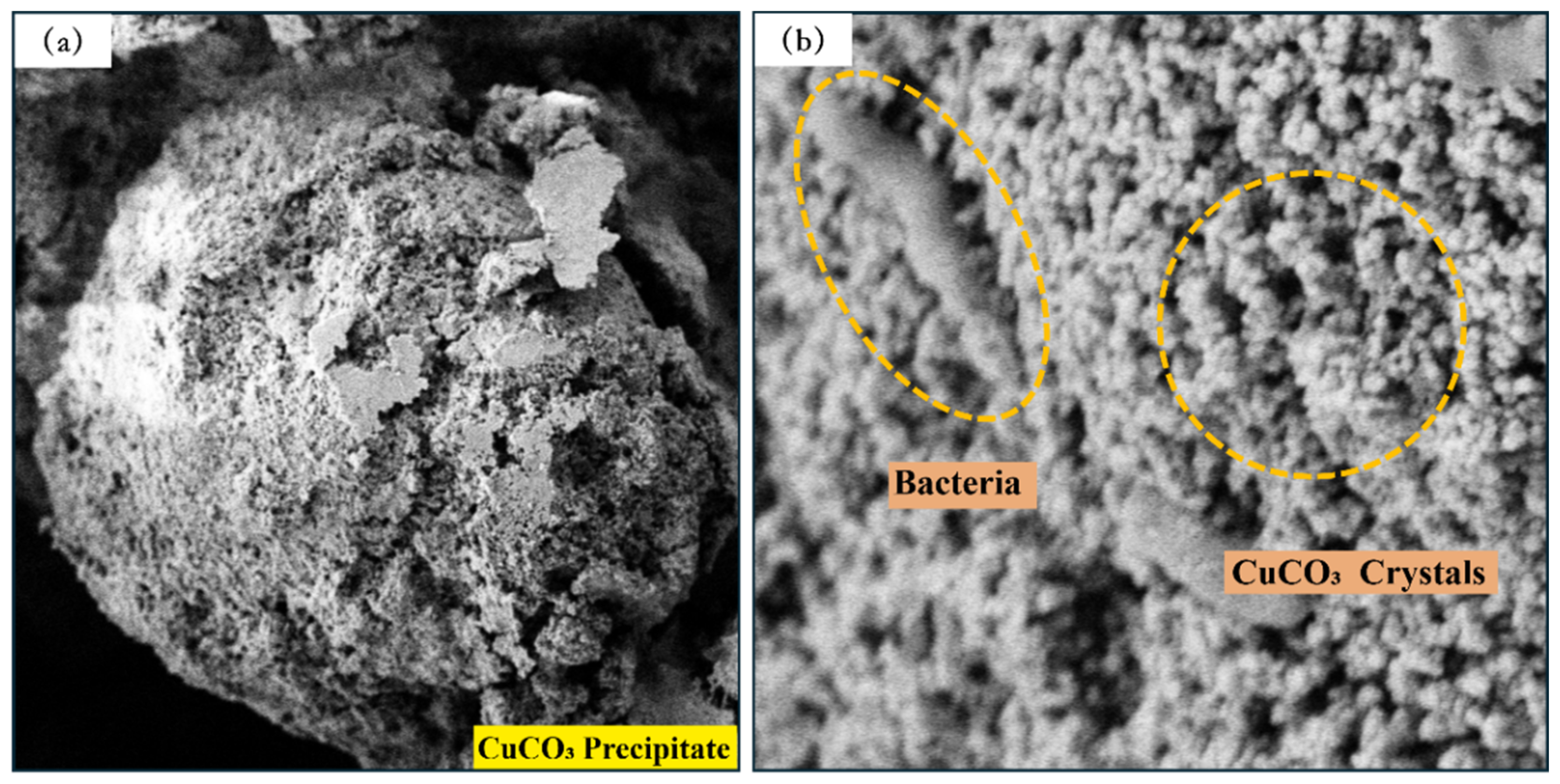 Processes 13 00711 g013