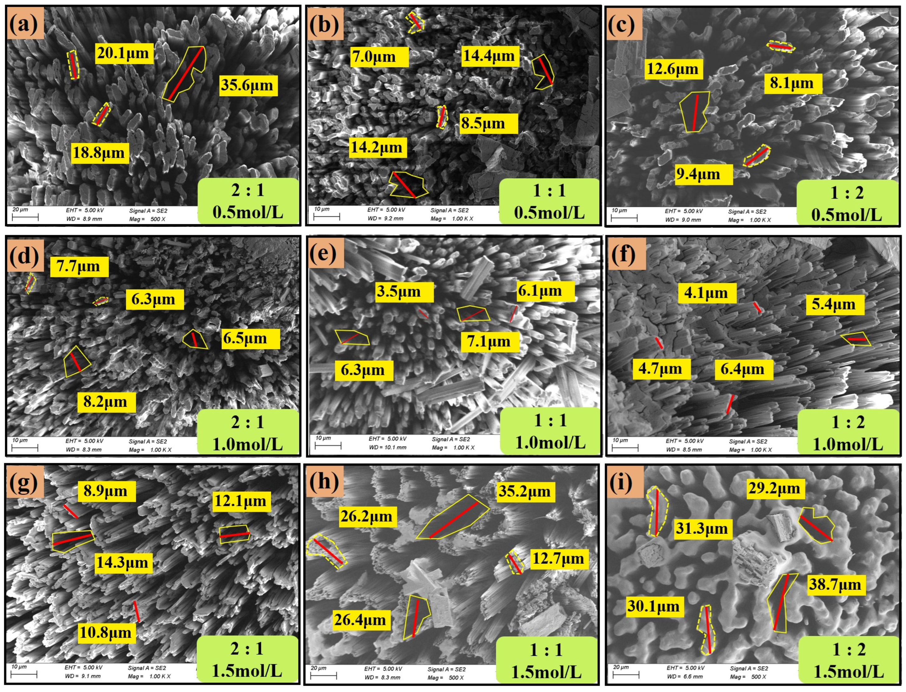 Processes 13 00711 g015