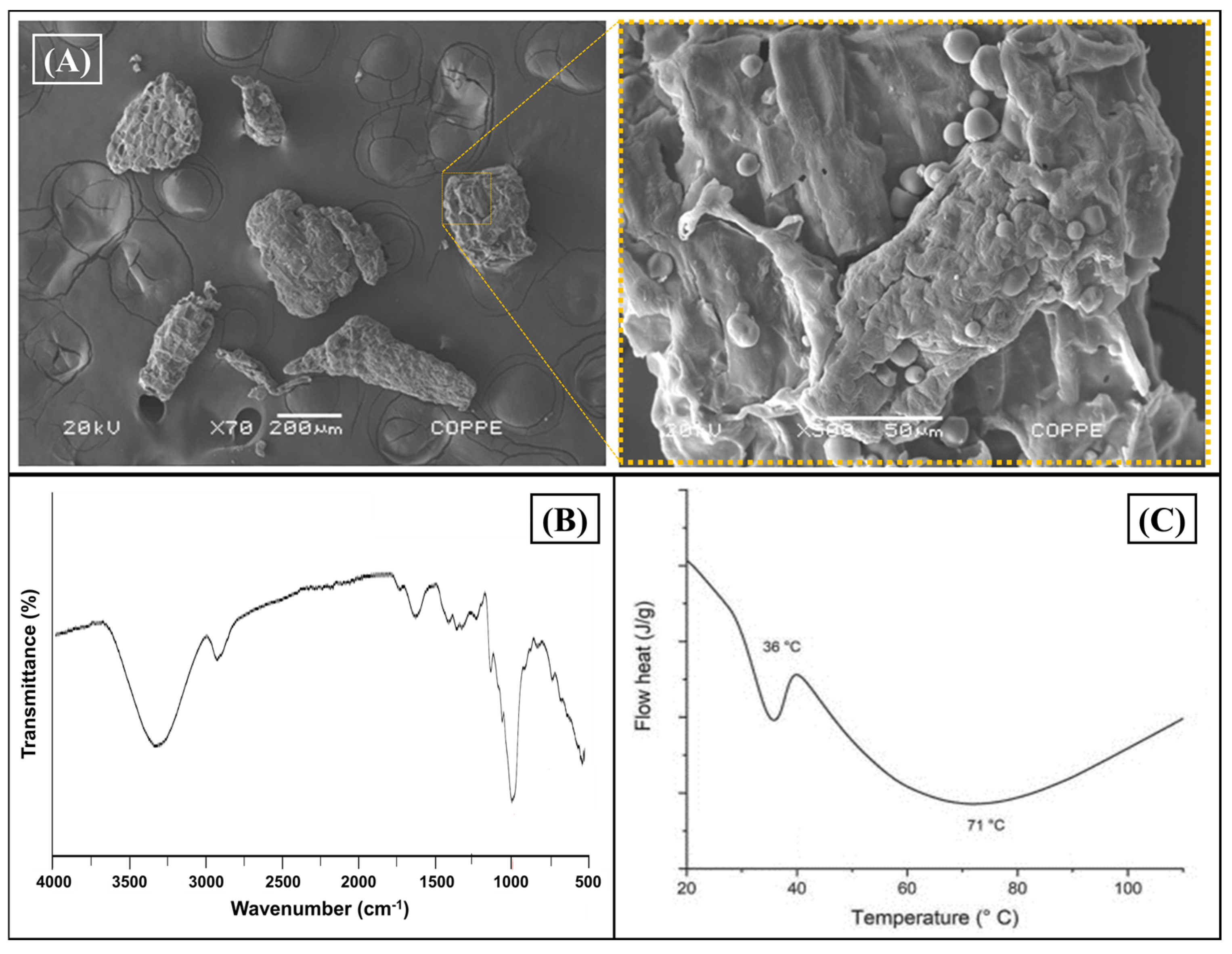 Processes 13 00719 g002