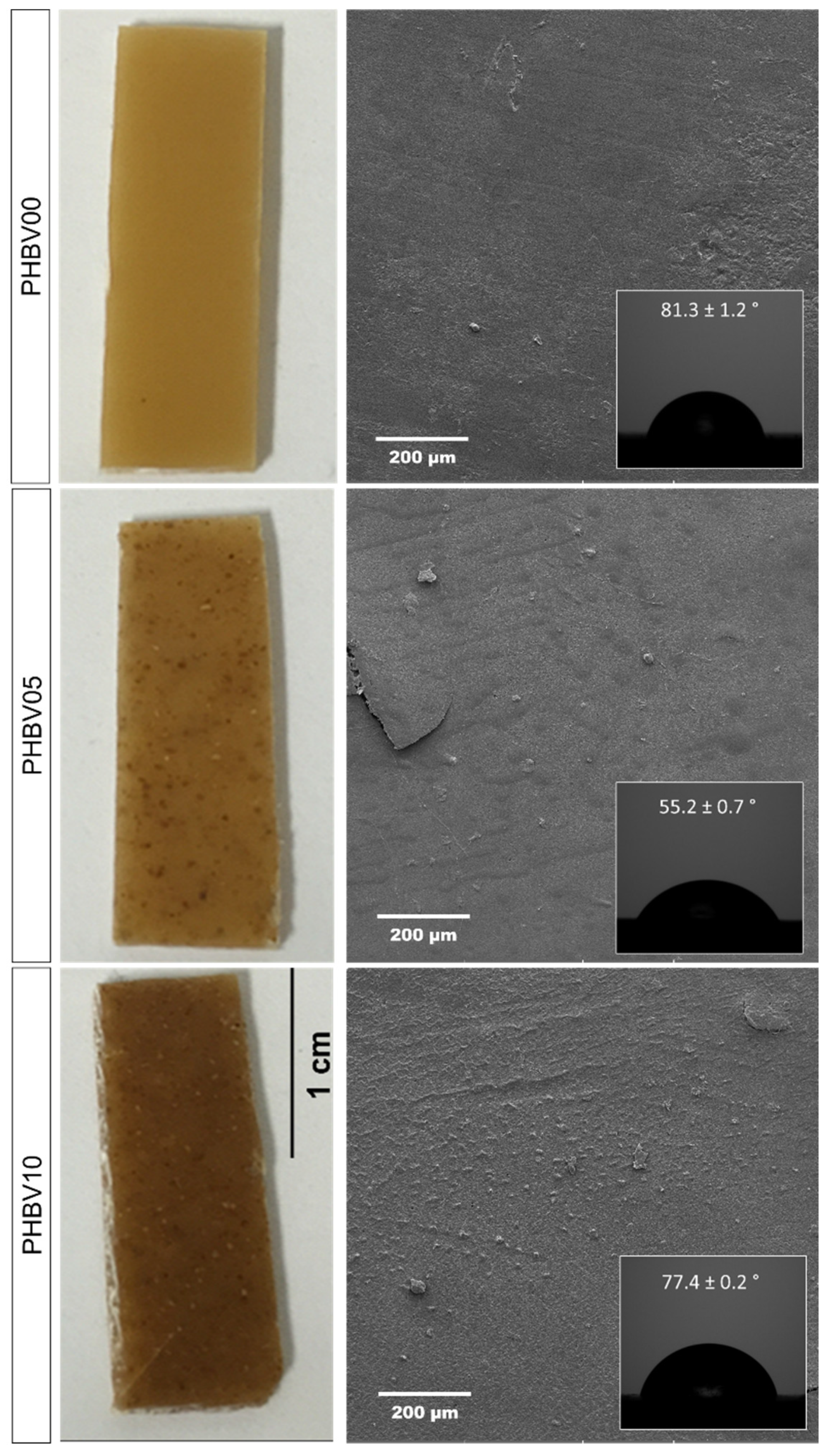 Processes 13 00719 g008