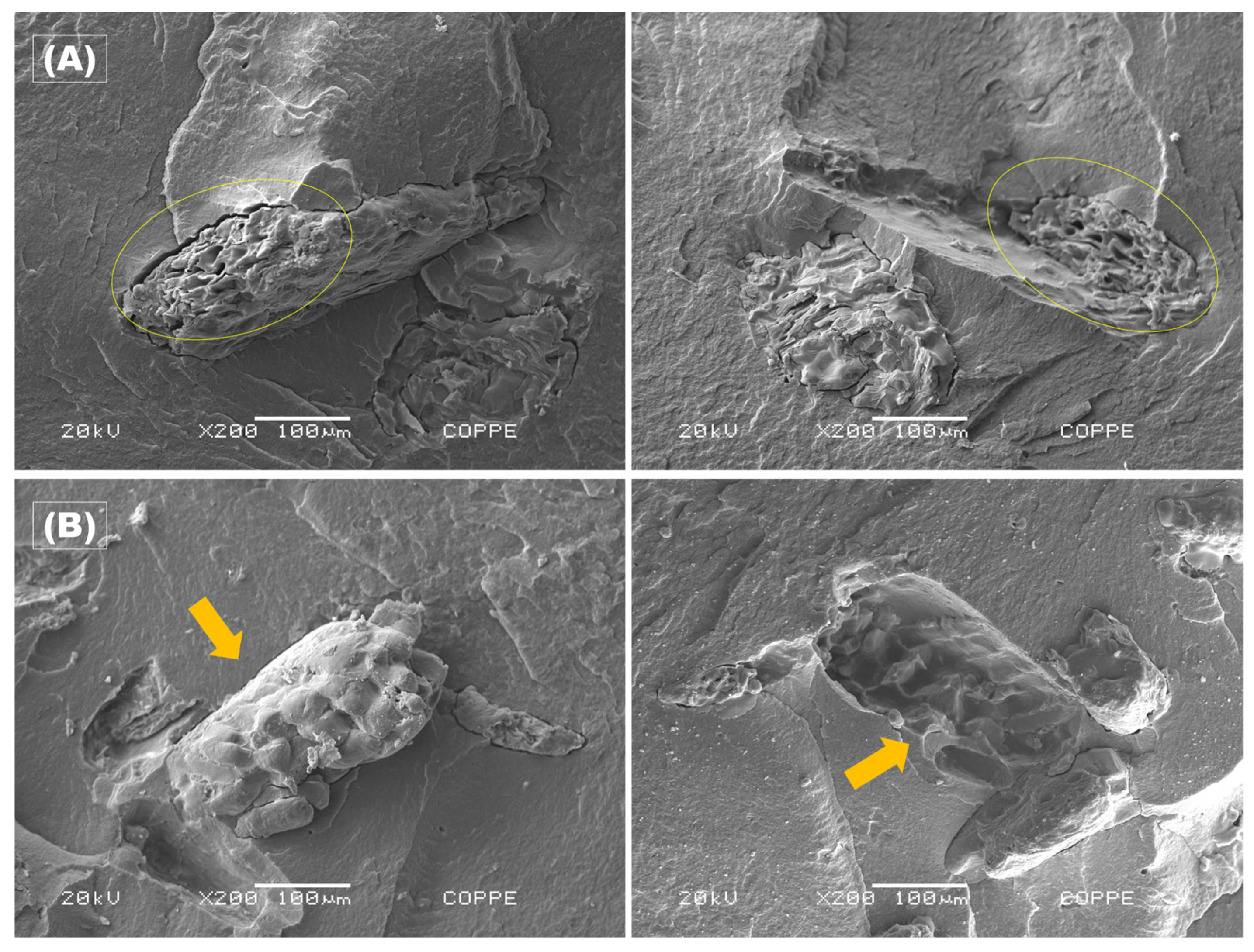 Processes 13 00719 g009