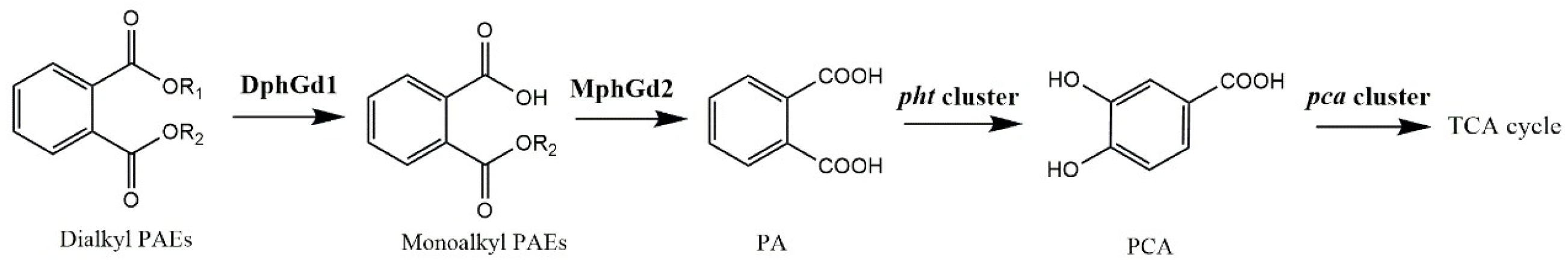 Processes 13 00731 g006
