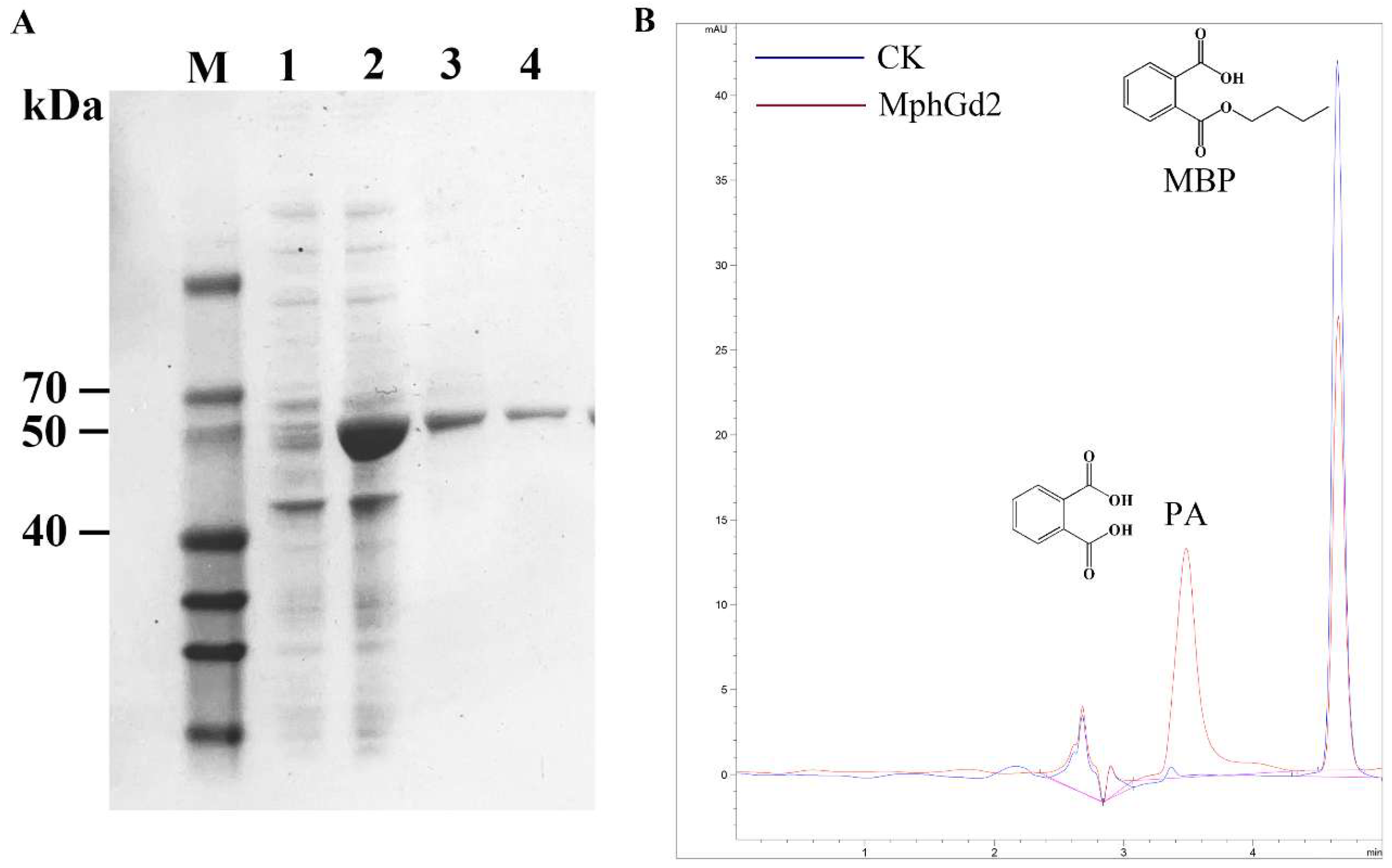 Processes 13 00731 g007