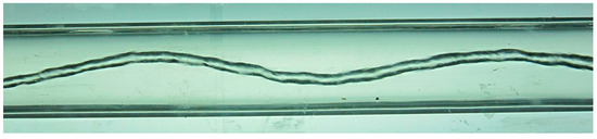 Processes 13 00737 g003