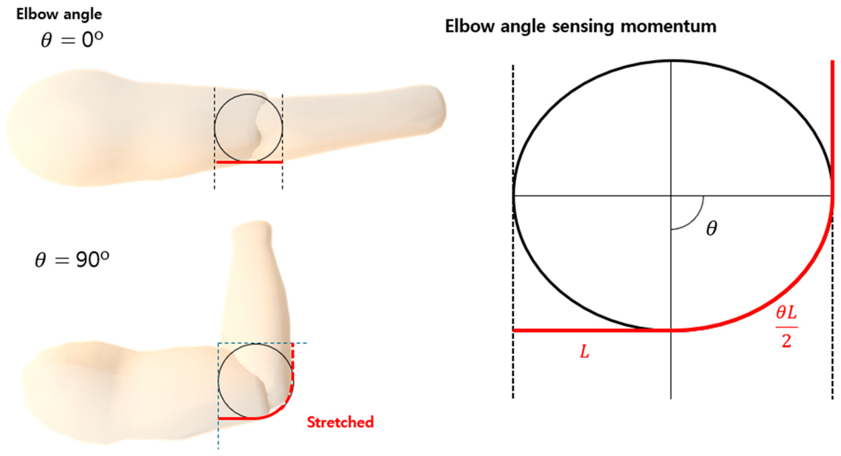 Processes 13 00748 g001