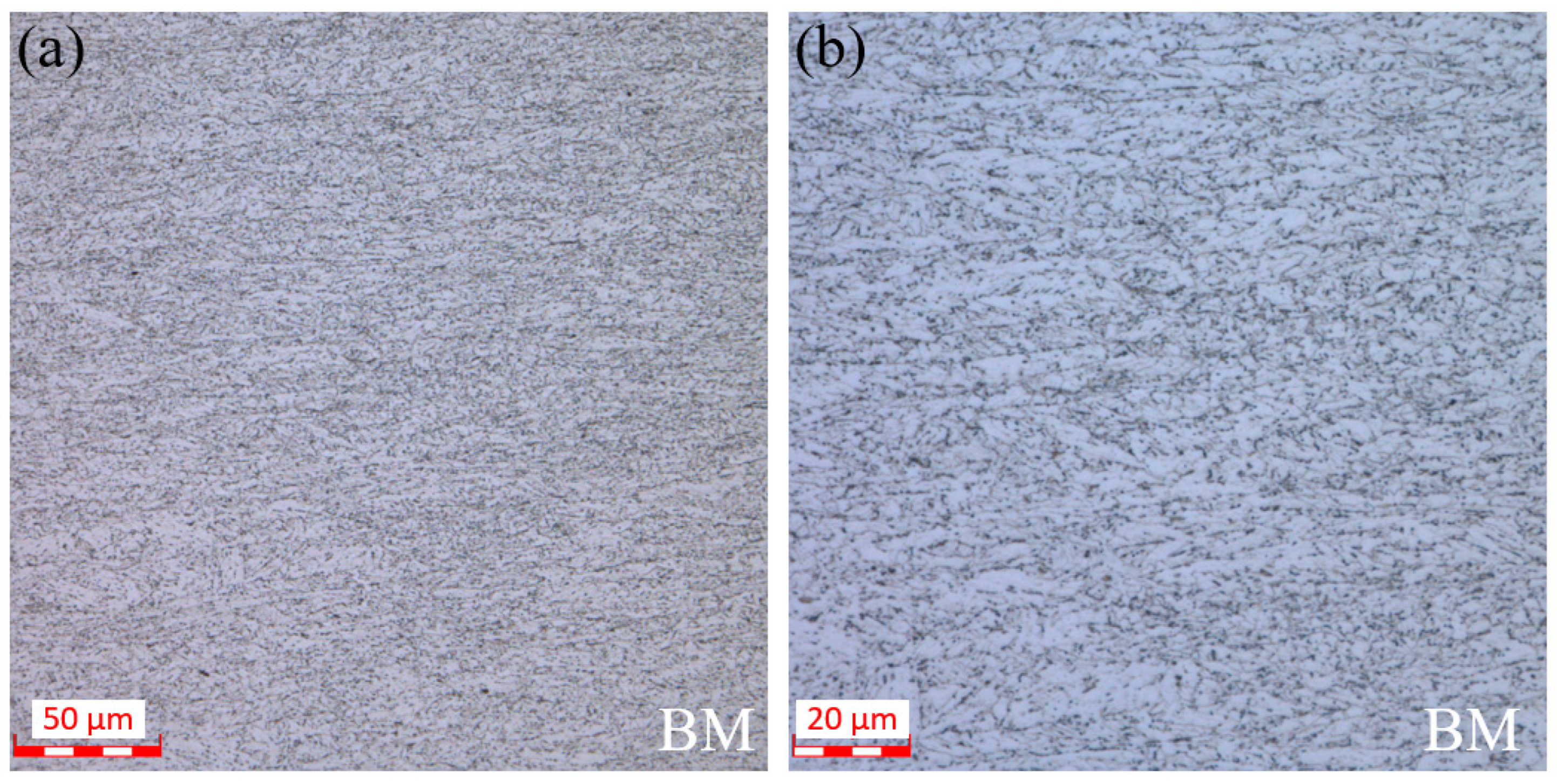 Processes 13 00763 g001