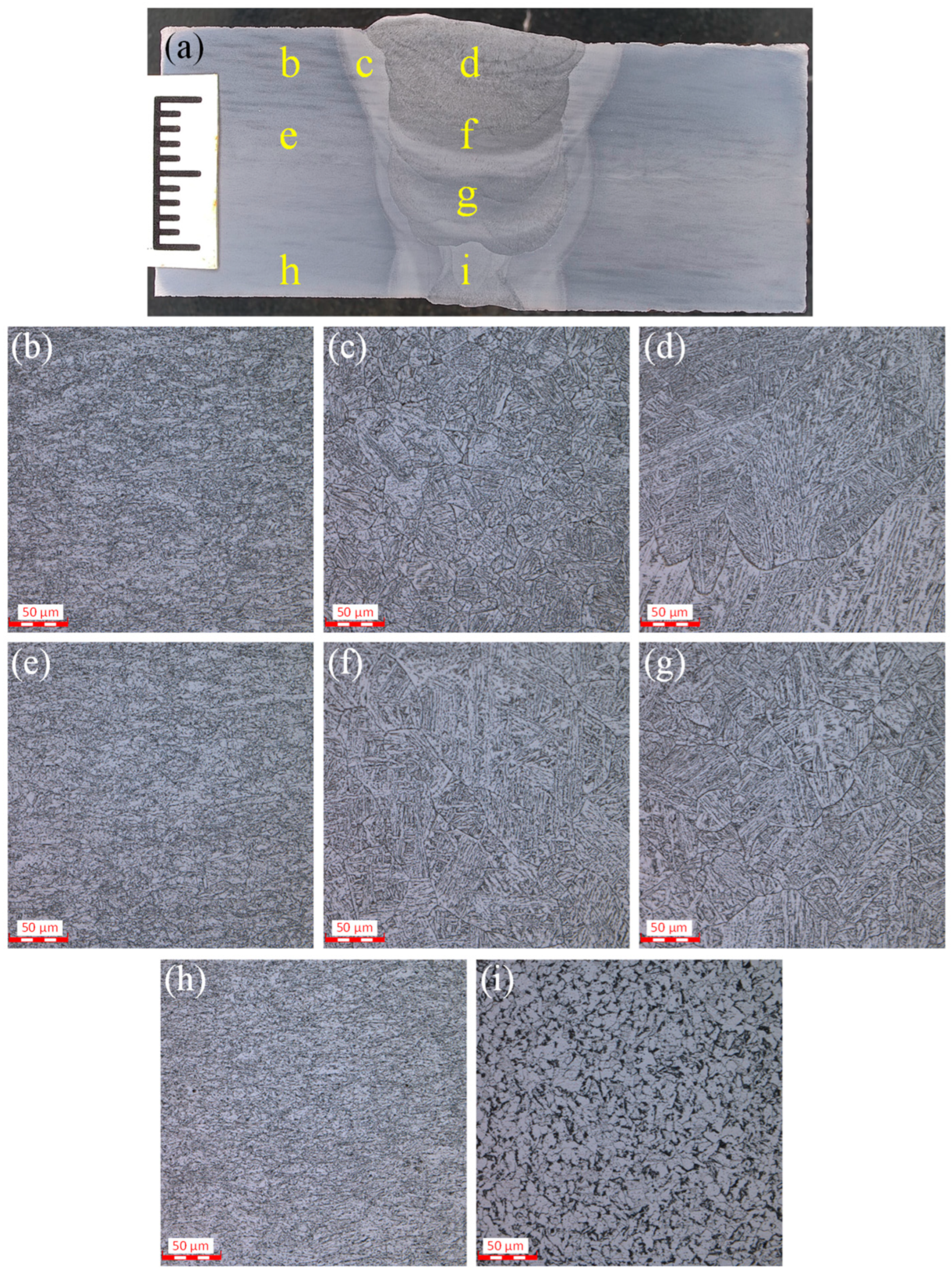 Processes 13 00763 g004