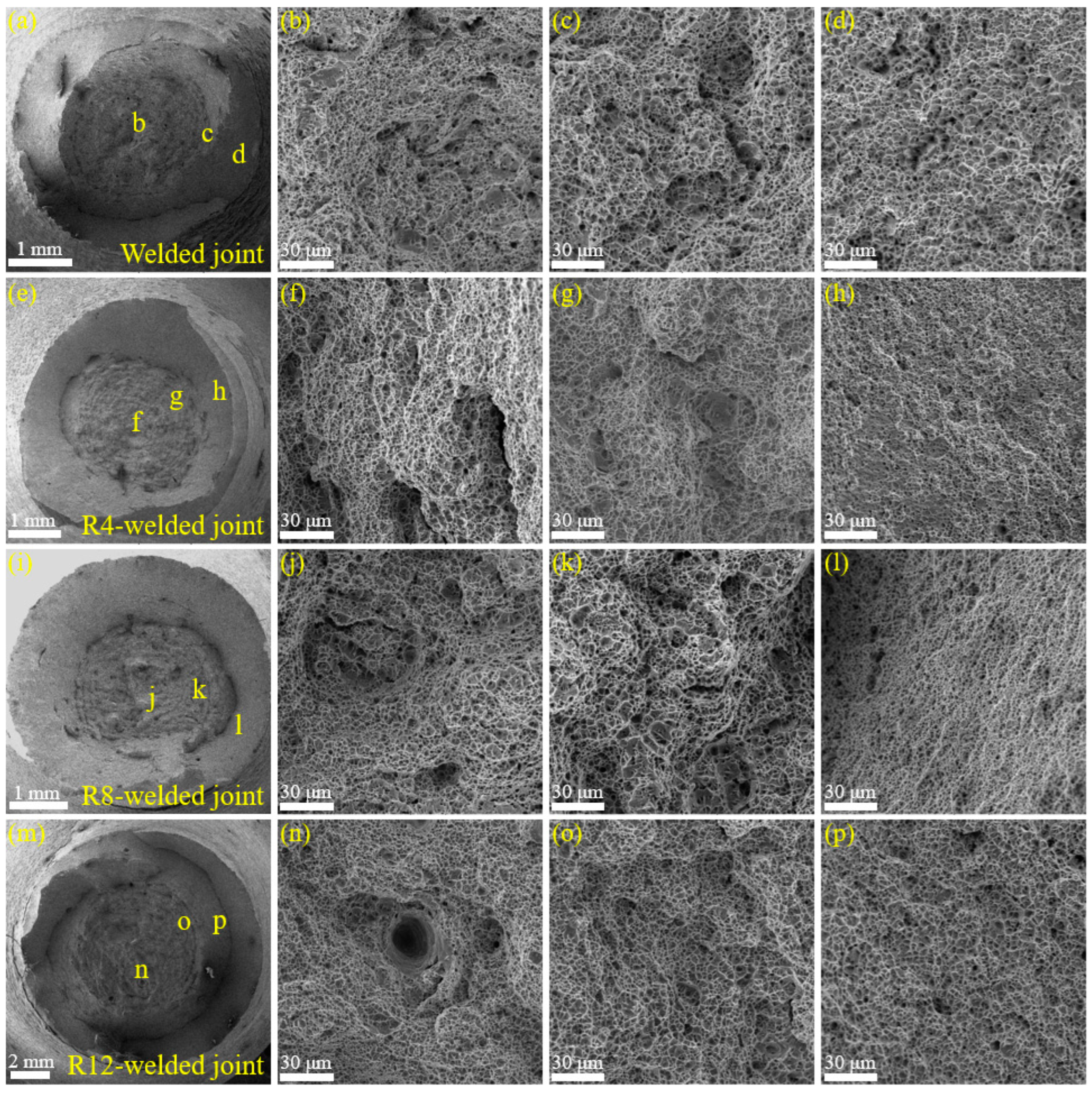 Processes 13 00763 g014
