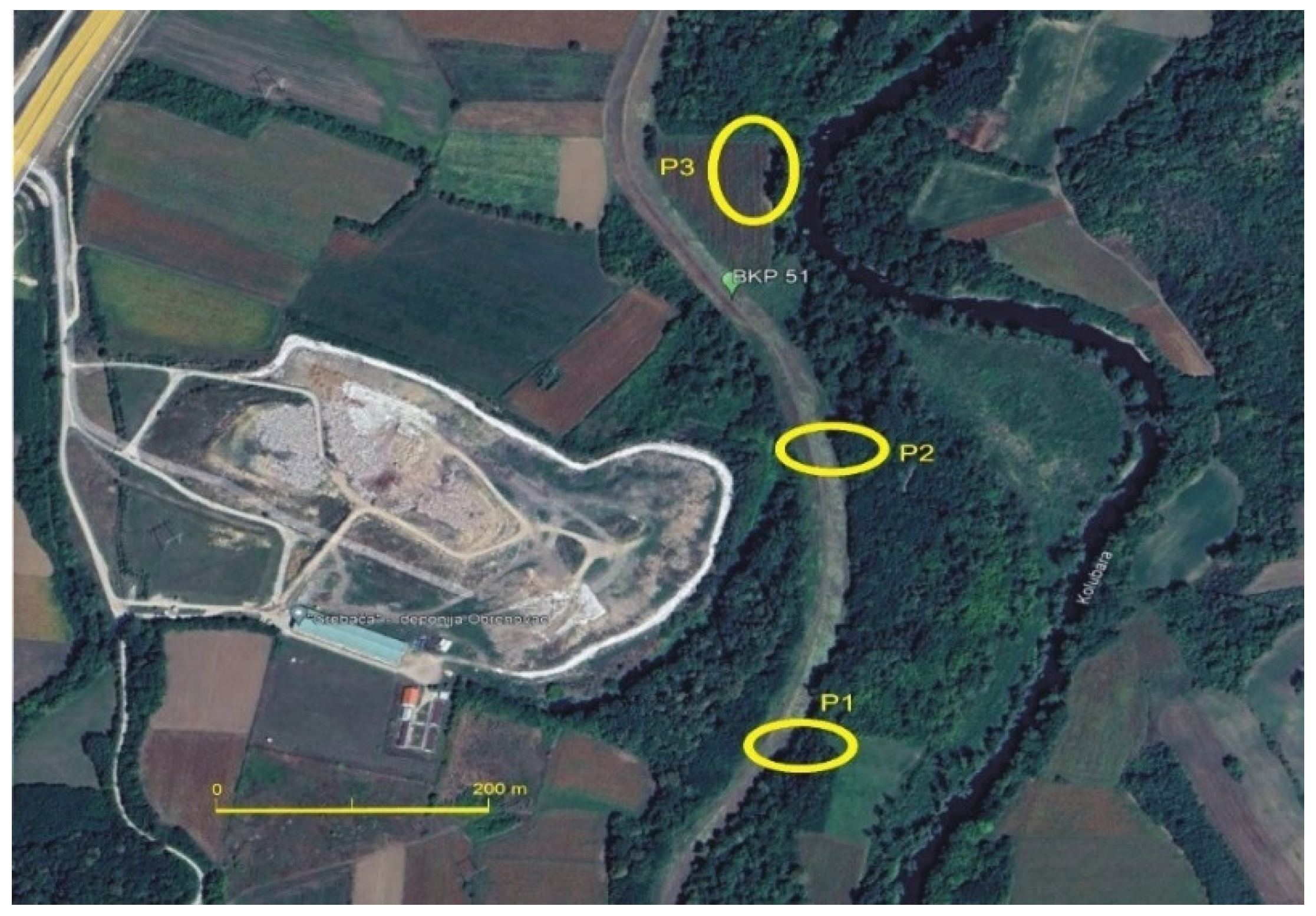 Processes 13 00768 g002 Processes 13 00768 g002