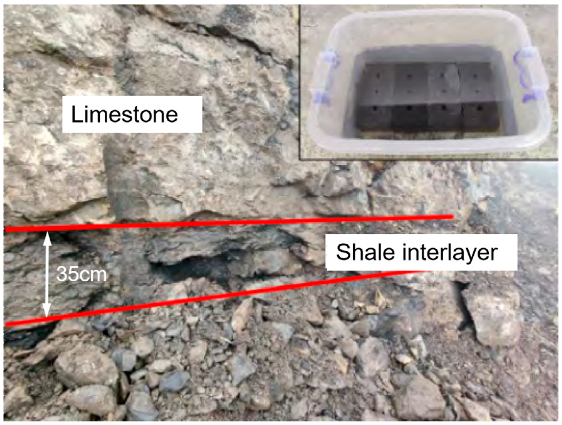 Processes 13 00783 g001