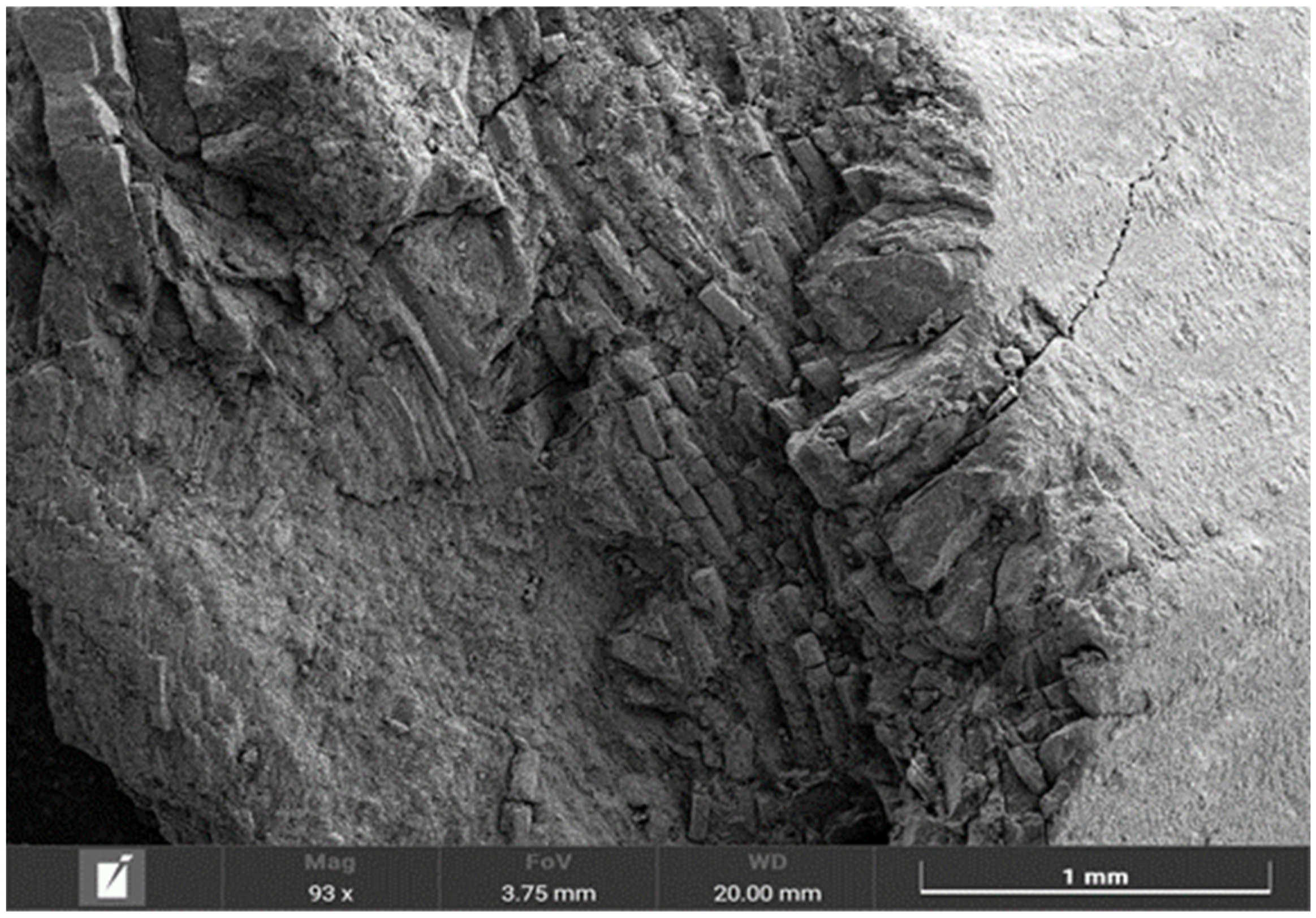 Processes 13 00803 g001