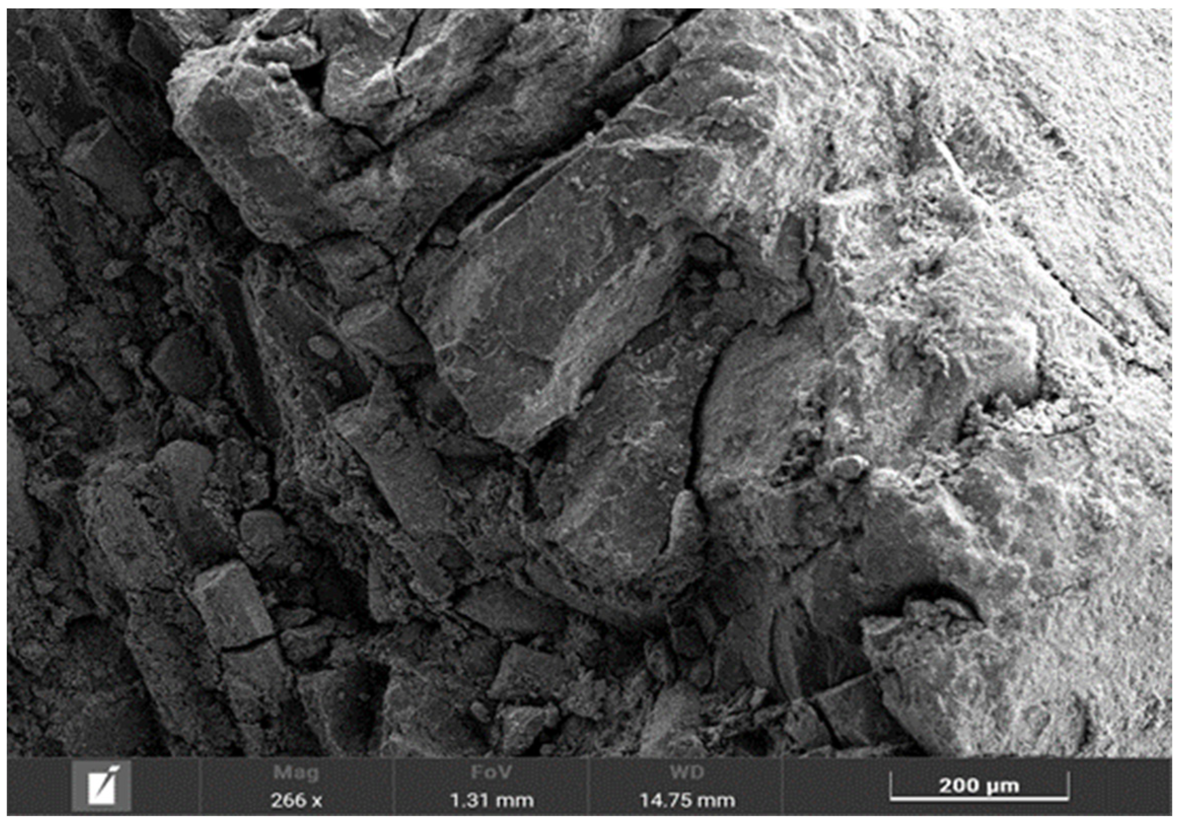 Processes 13 00803 g002