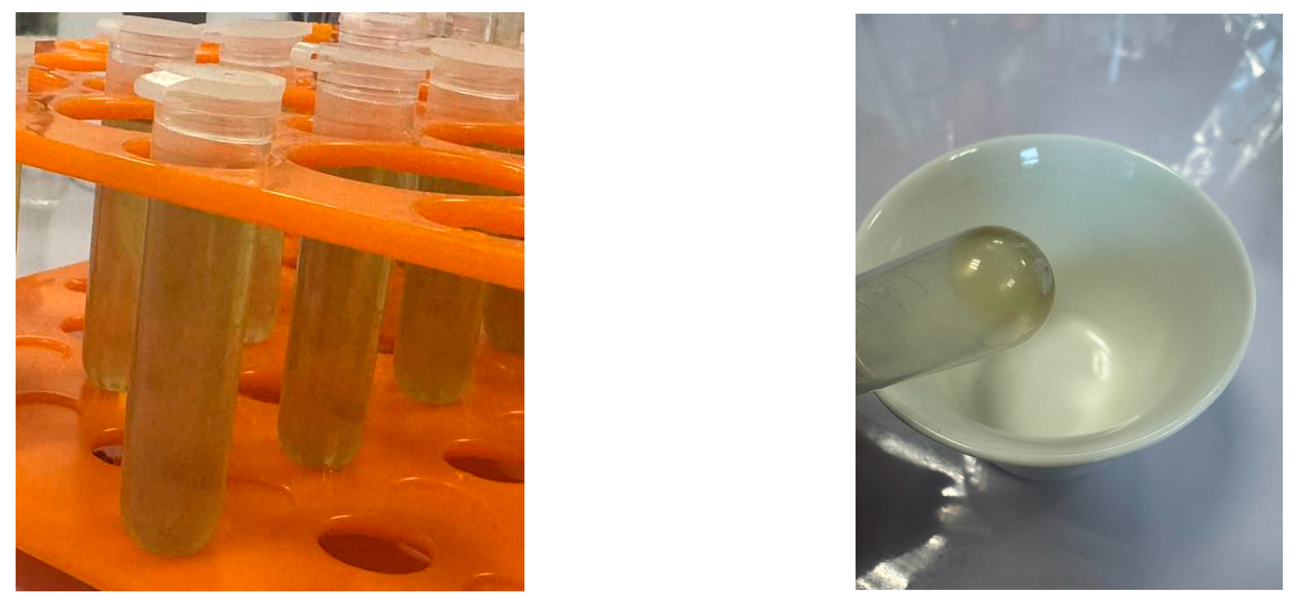 Processes 13 00804 g001