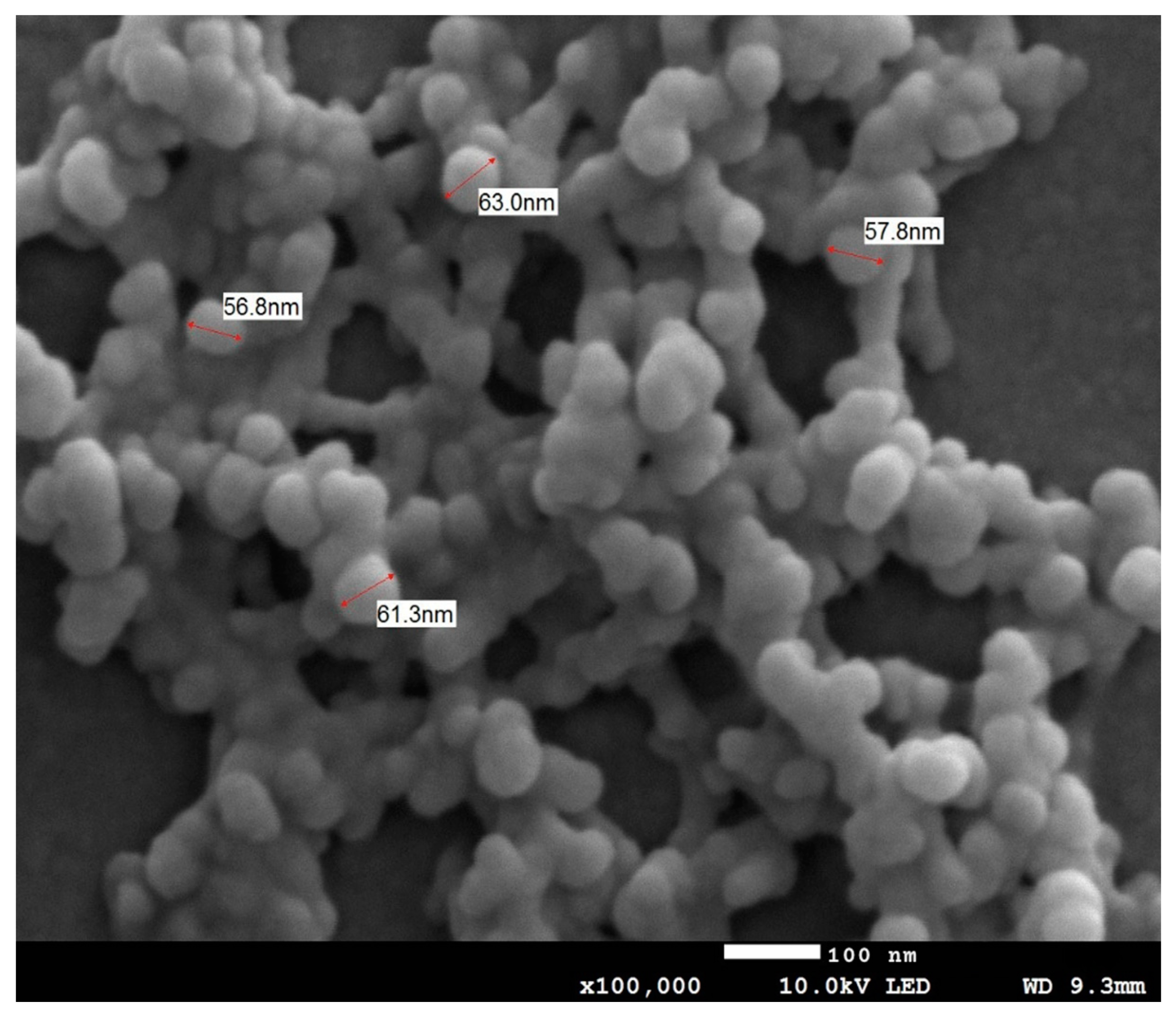 Processes 13 00804 g003