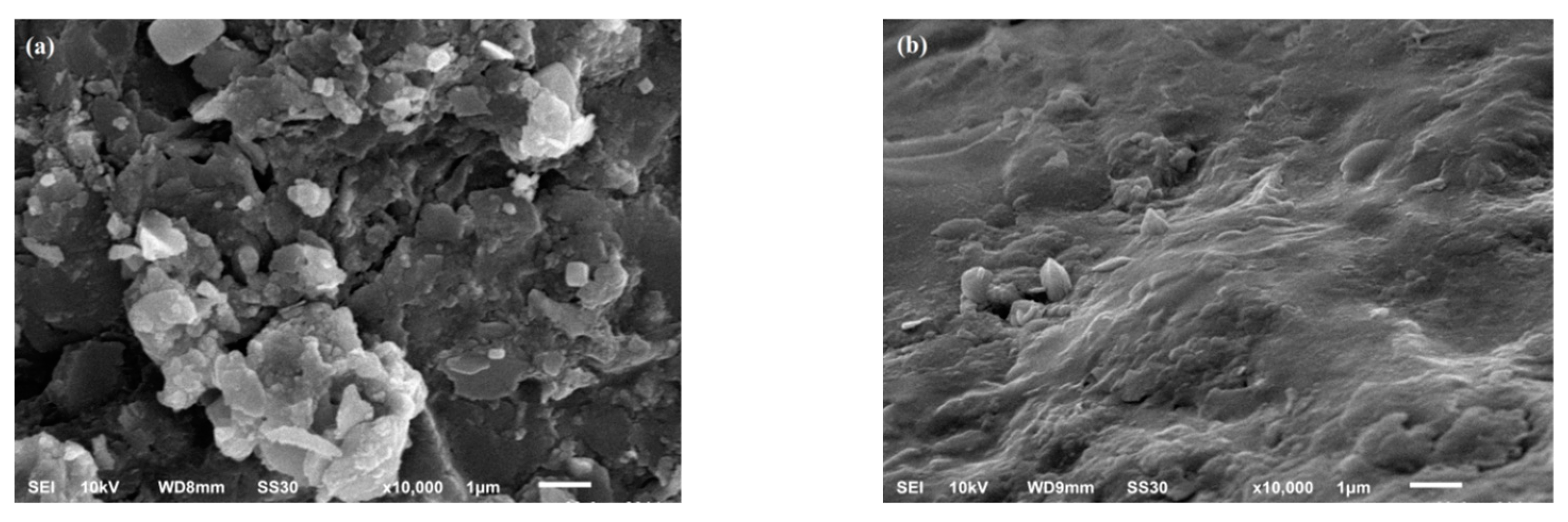 Processes 13 00817 g008