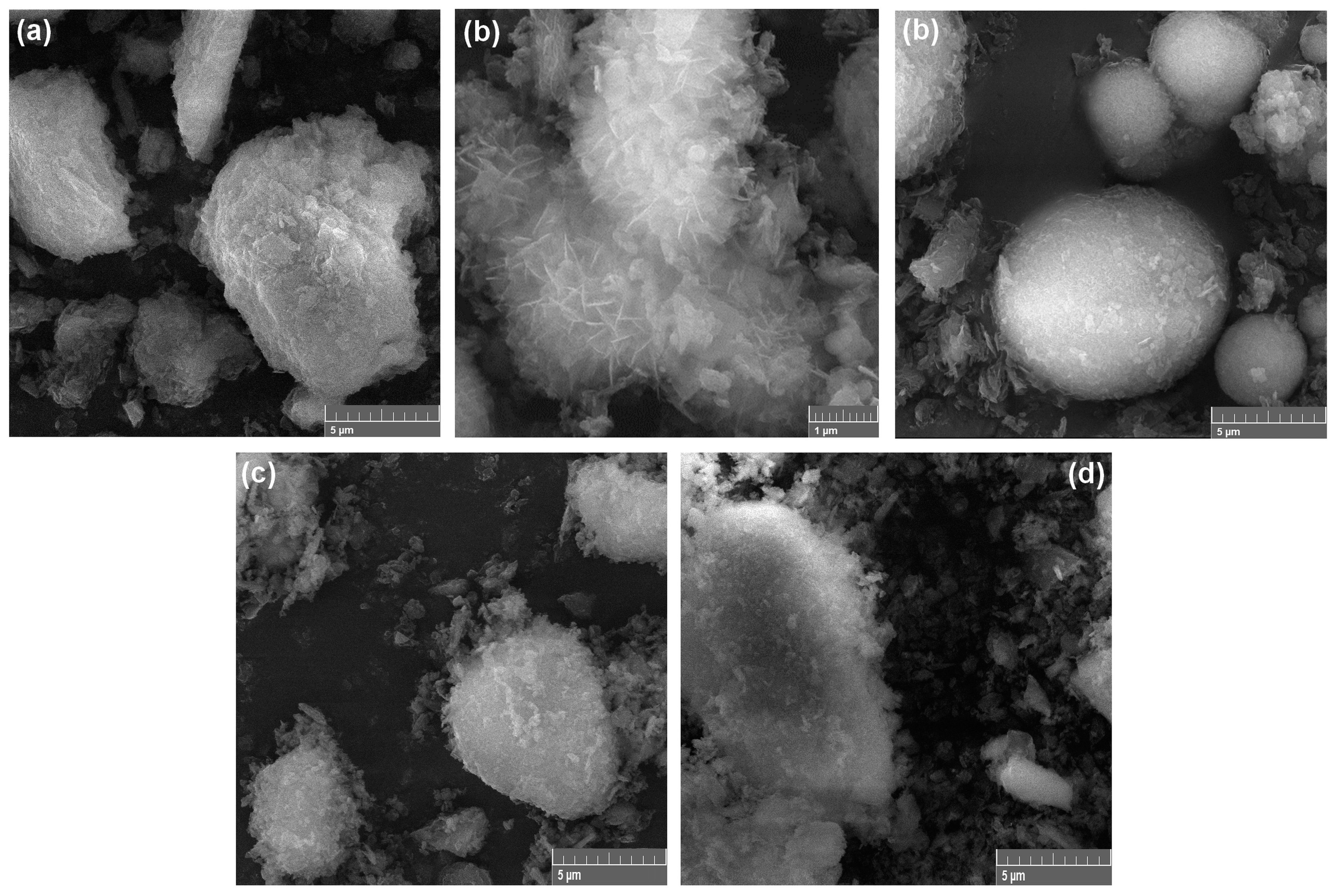 Processes 13 00818 g003