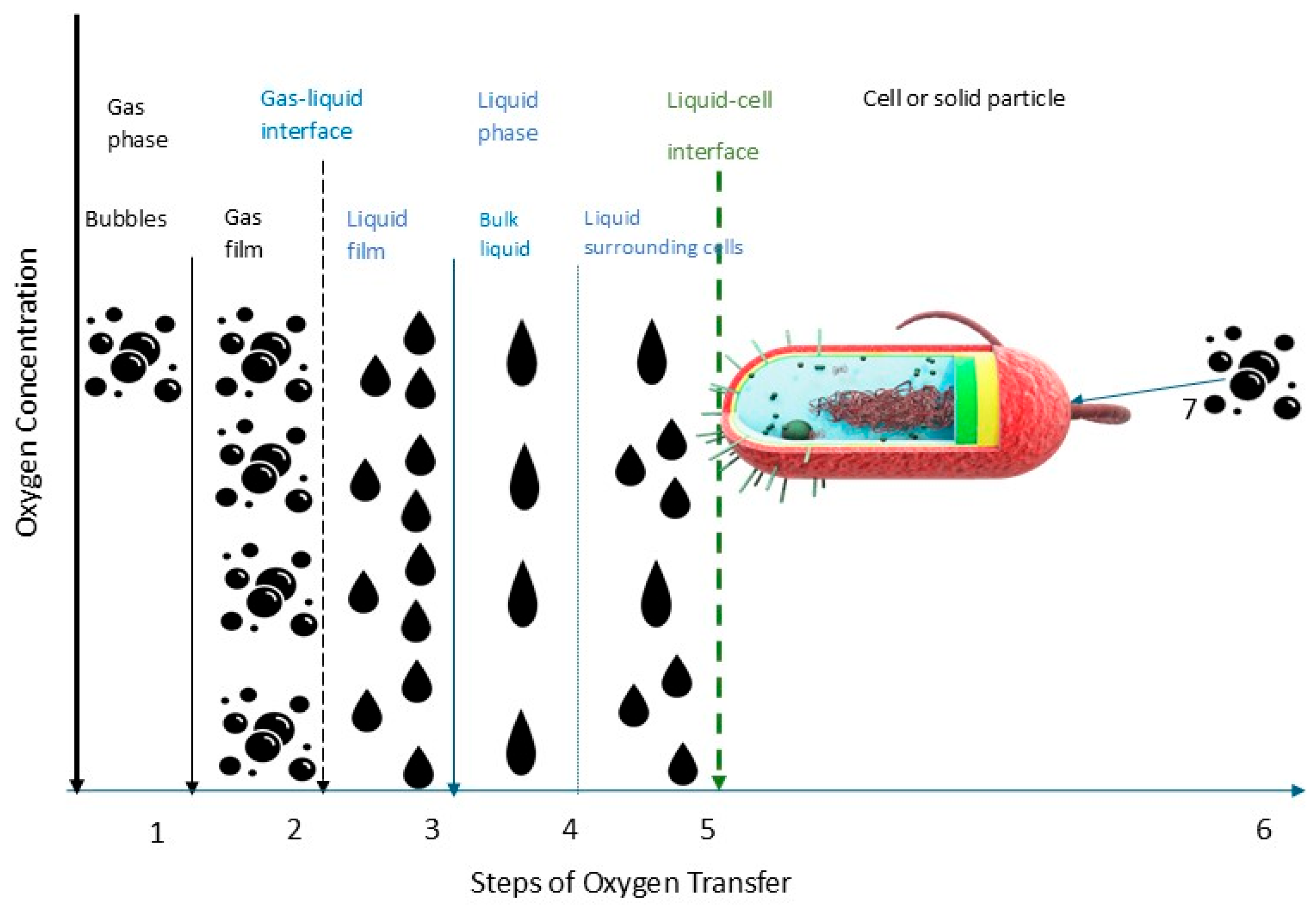 Processes 13 00822 g002