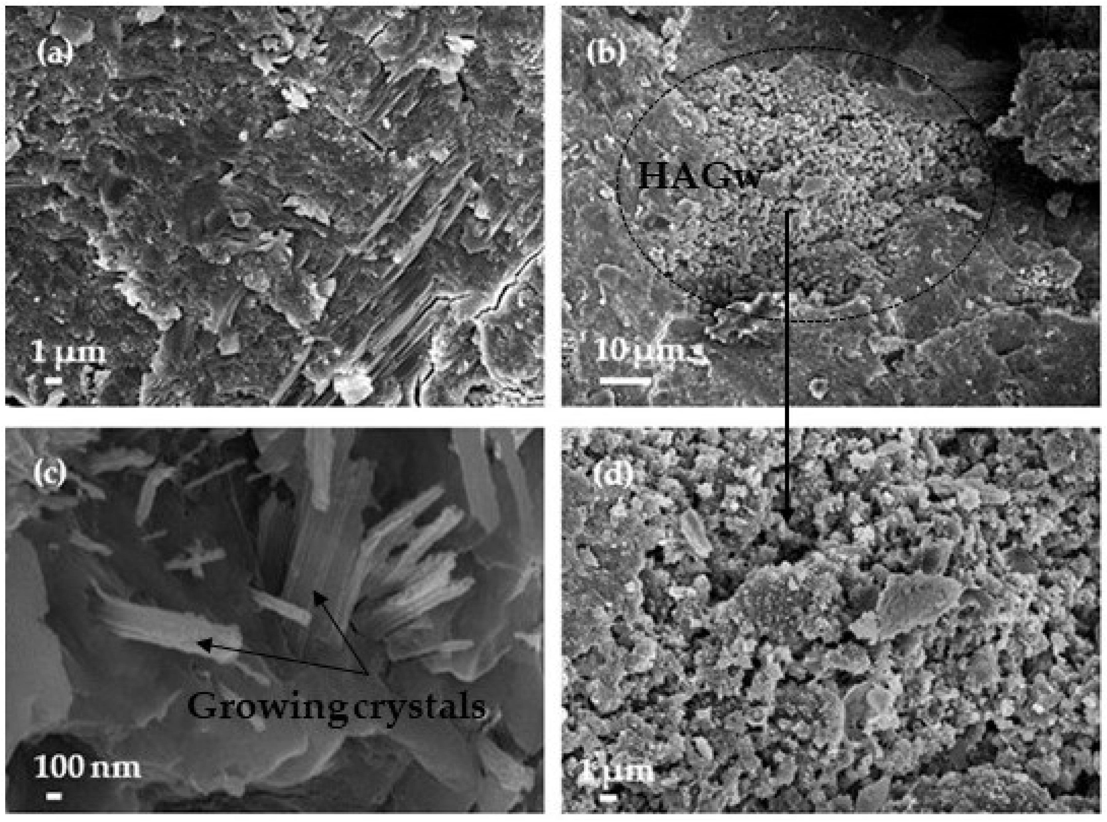 Processes 13 00840 g008