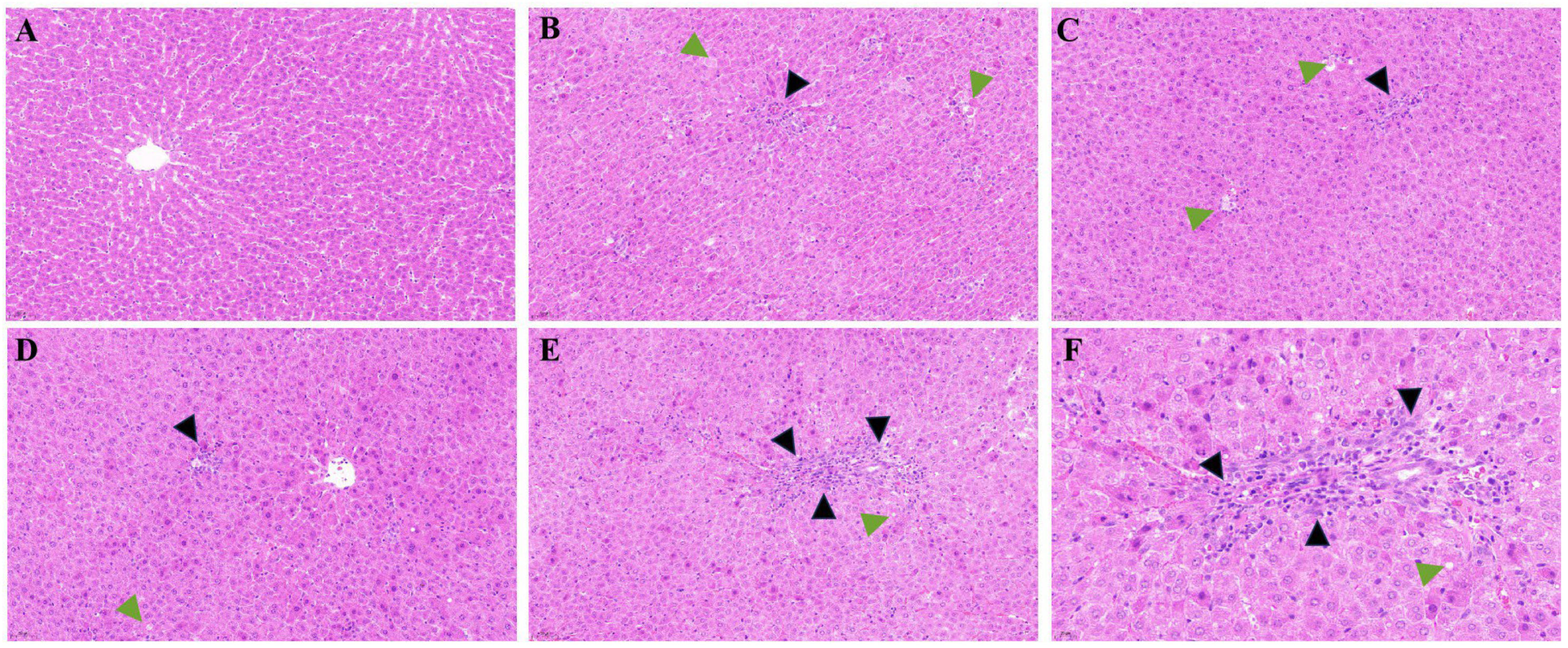 Processes 13 00844 g012