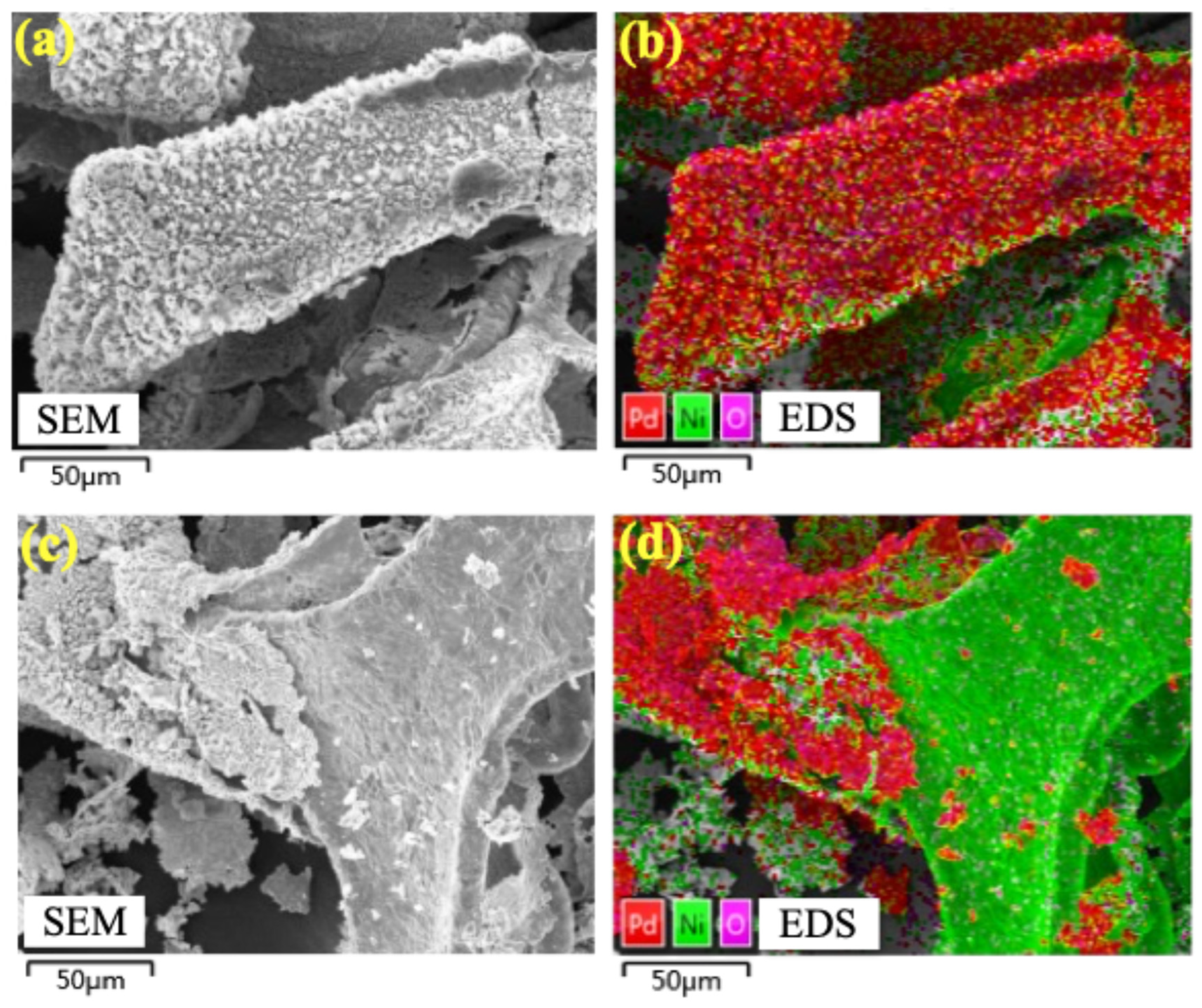 Processes 13 00853 g010