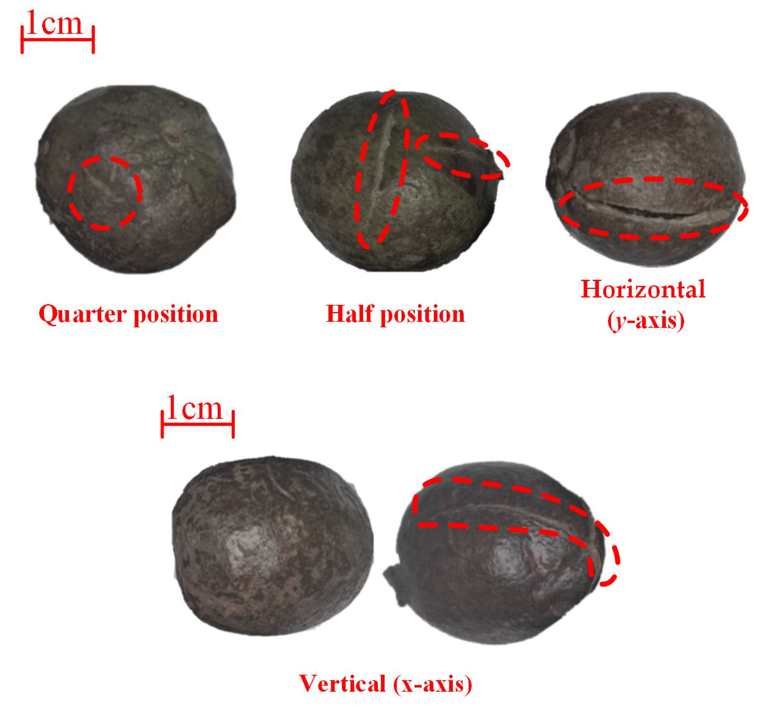 Processes 13 00856 g006