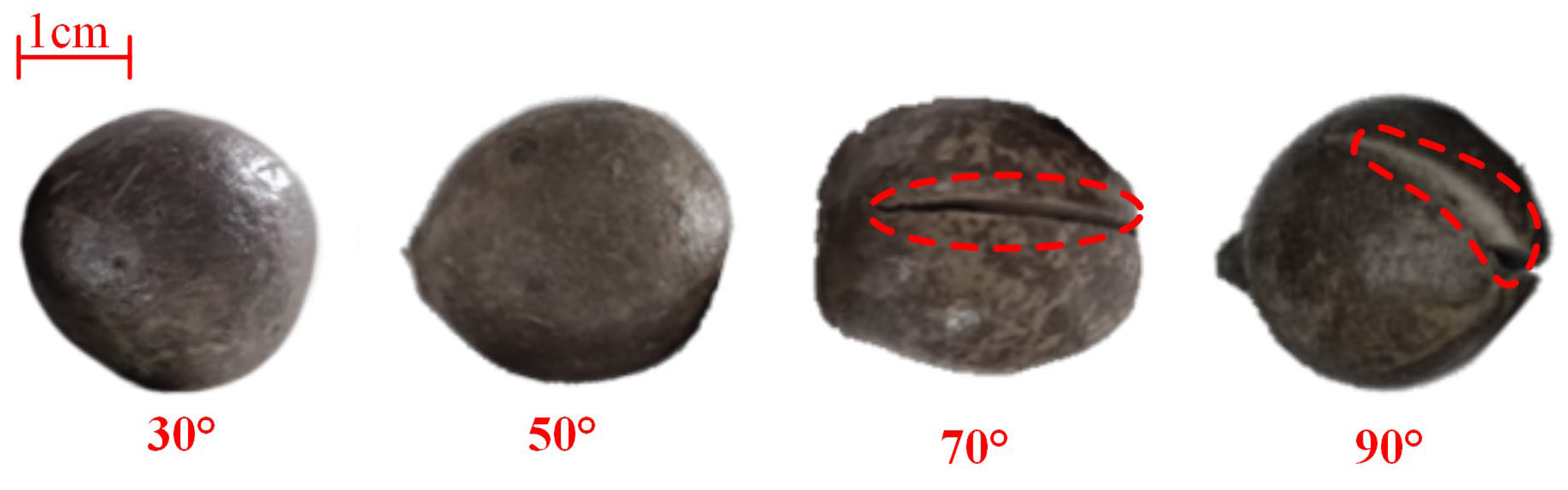 Processes 13 00856 g008