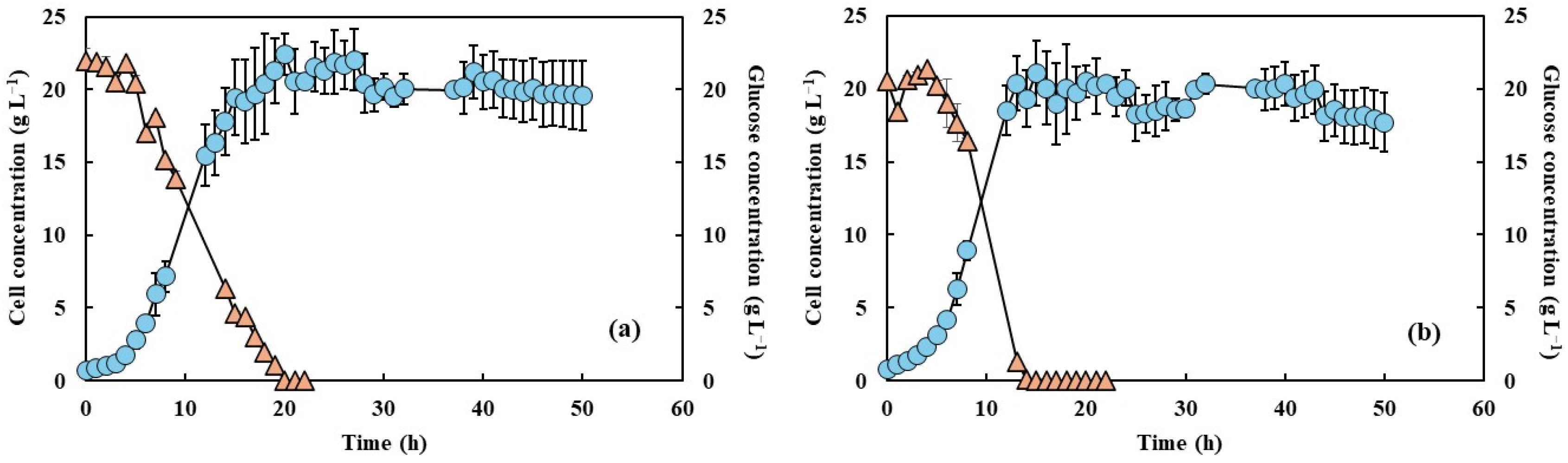 Processes 13 00865 g001