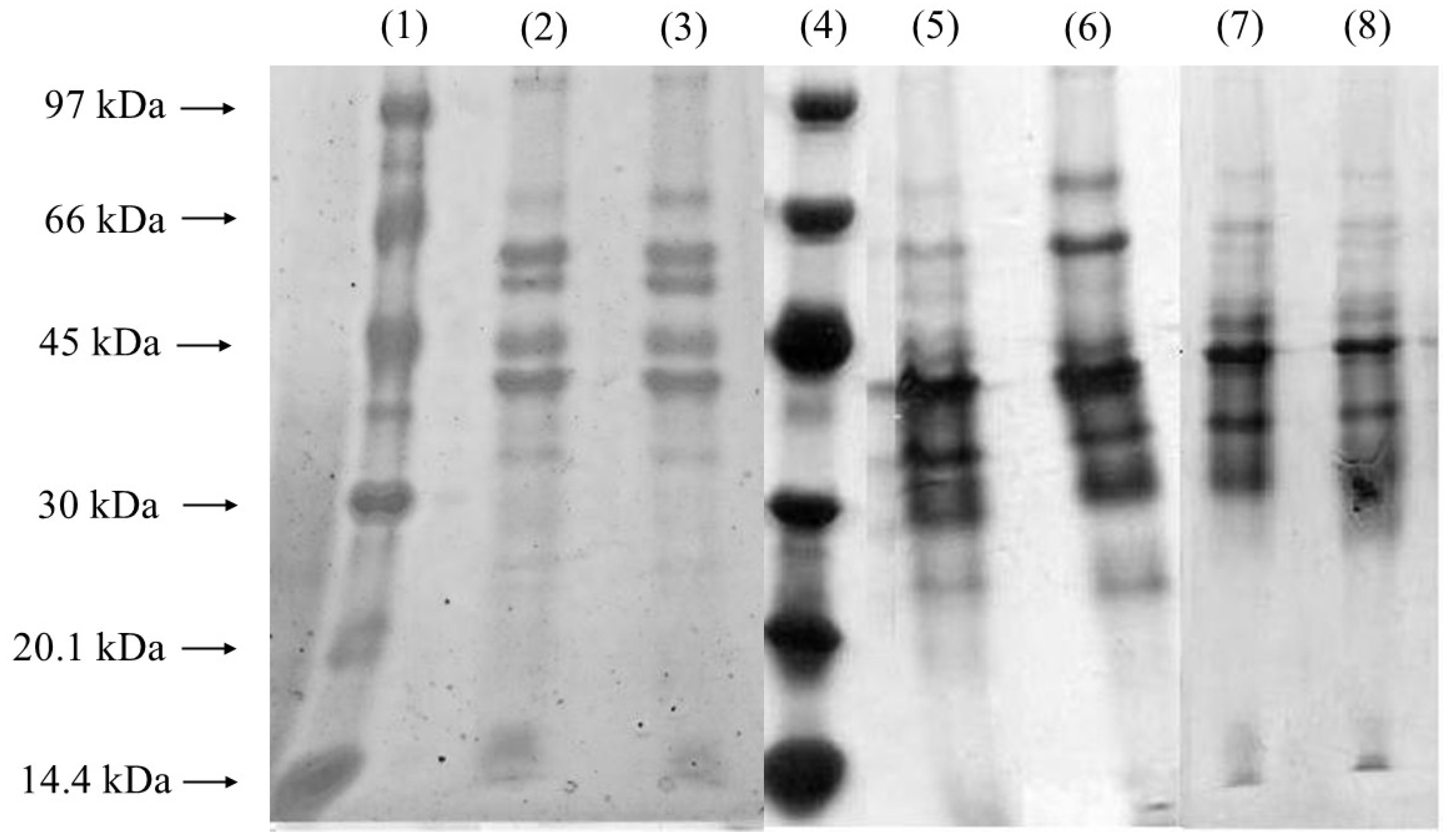 Processes 13 00865 g004