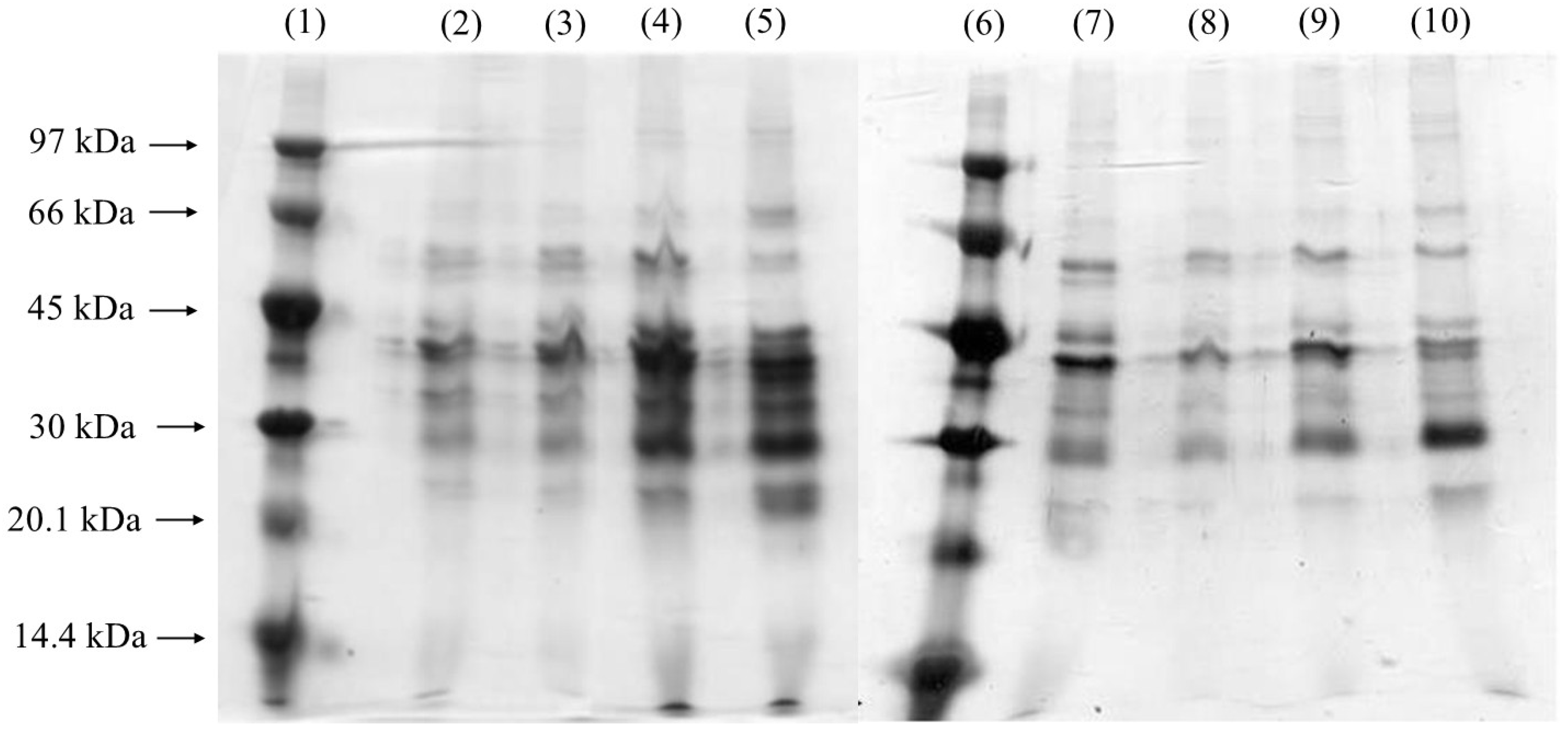 Processes 13 00865 g005