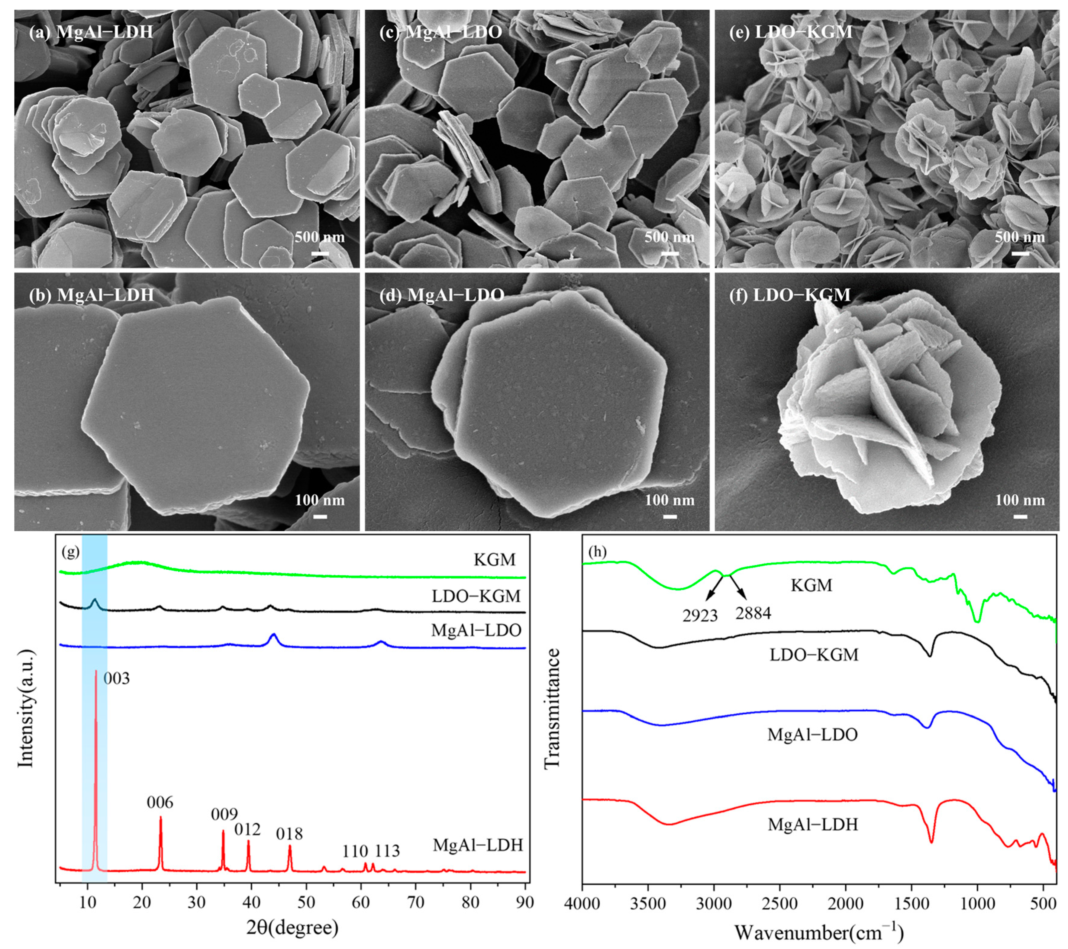 Processes 13 00876 g003