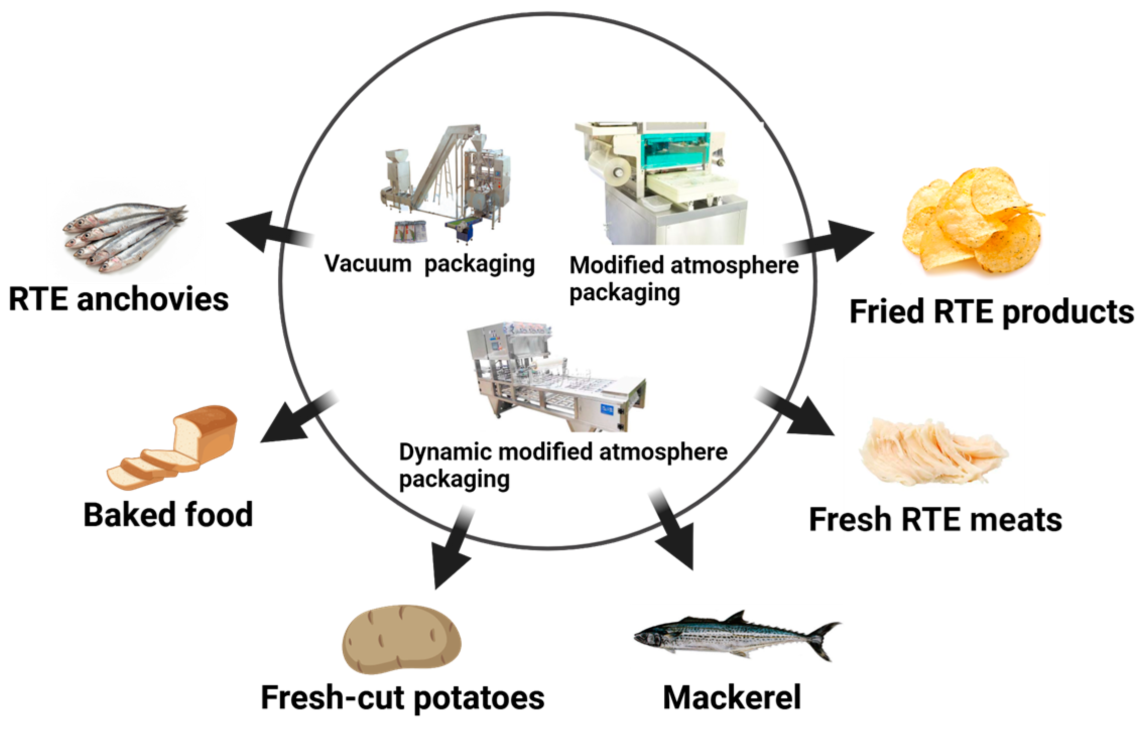 Processes 13 00901 g007