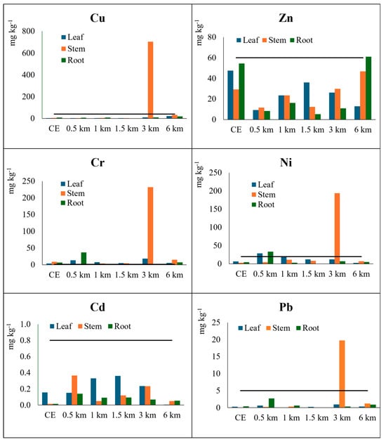Processes 13 00902 g005