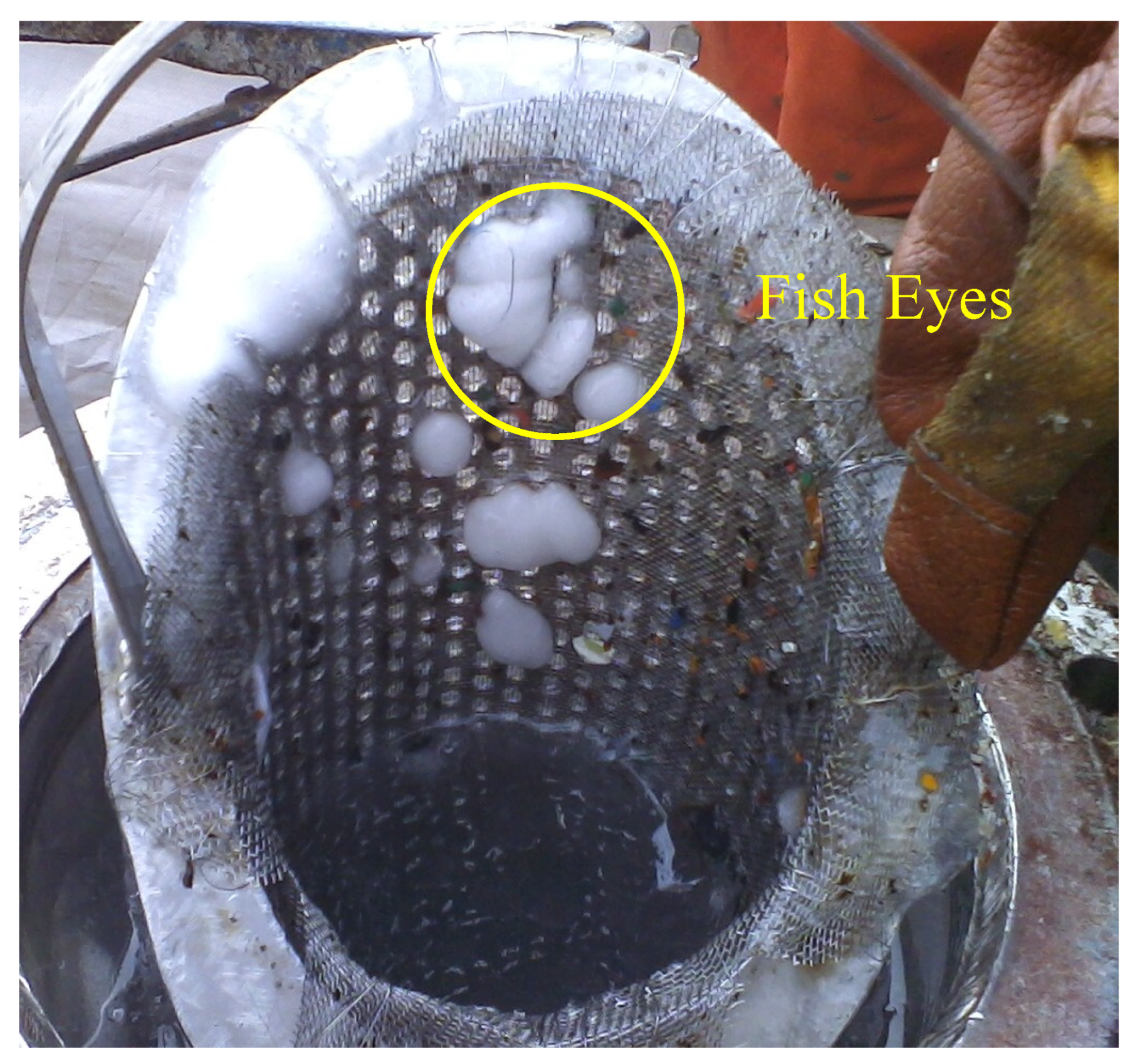 Processes 13 00903 g001